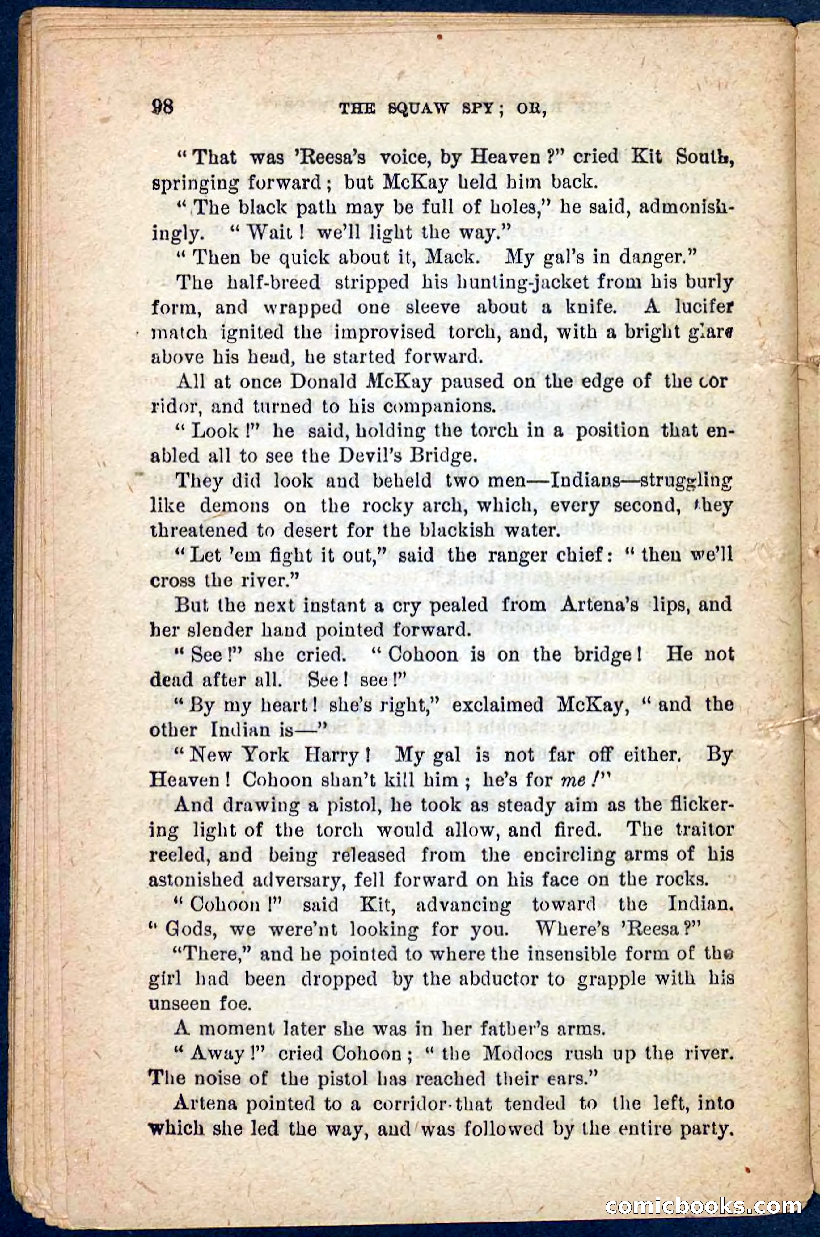 The Squaw Spy — page 94 of 100