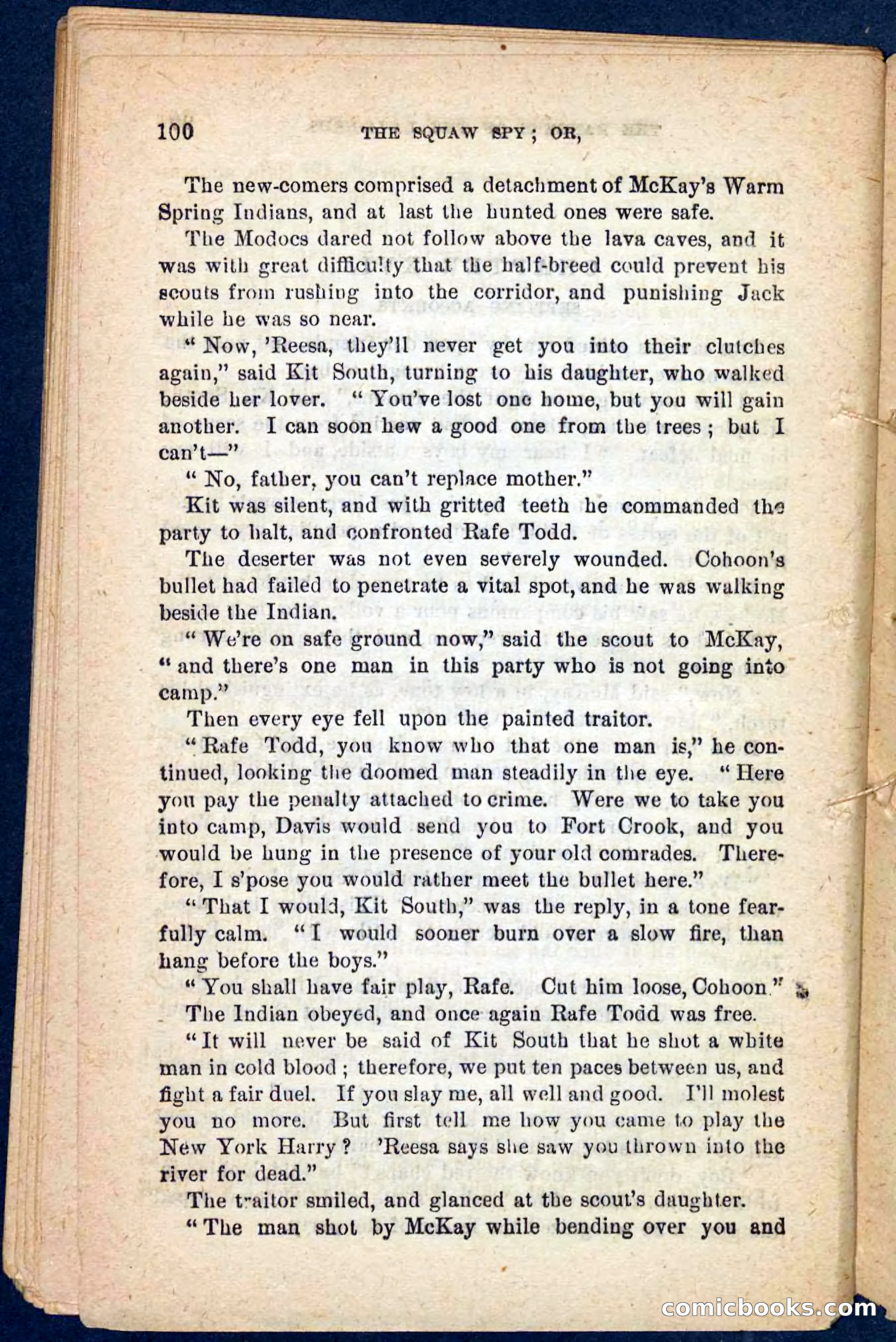 The Squaw Spy — page 96 of 100