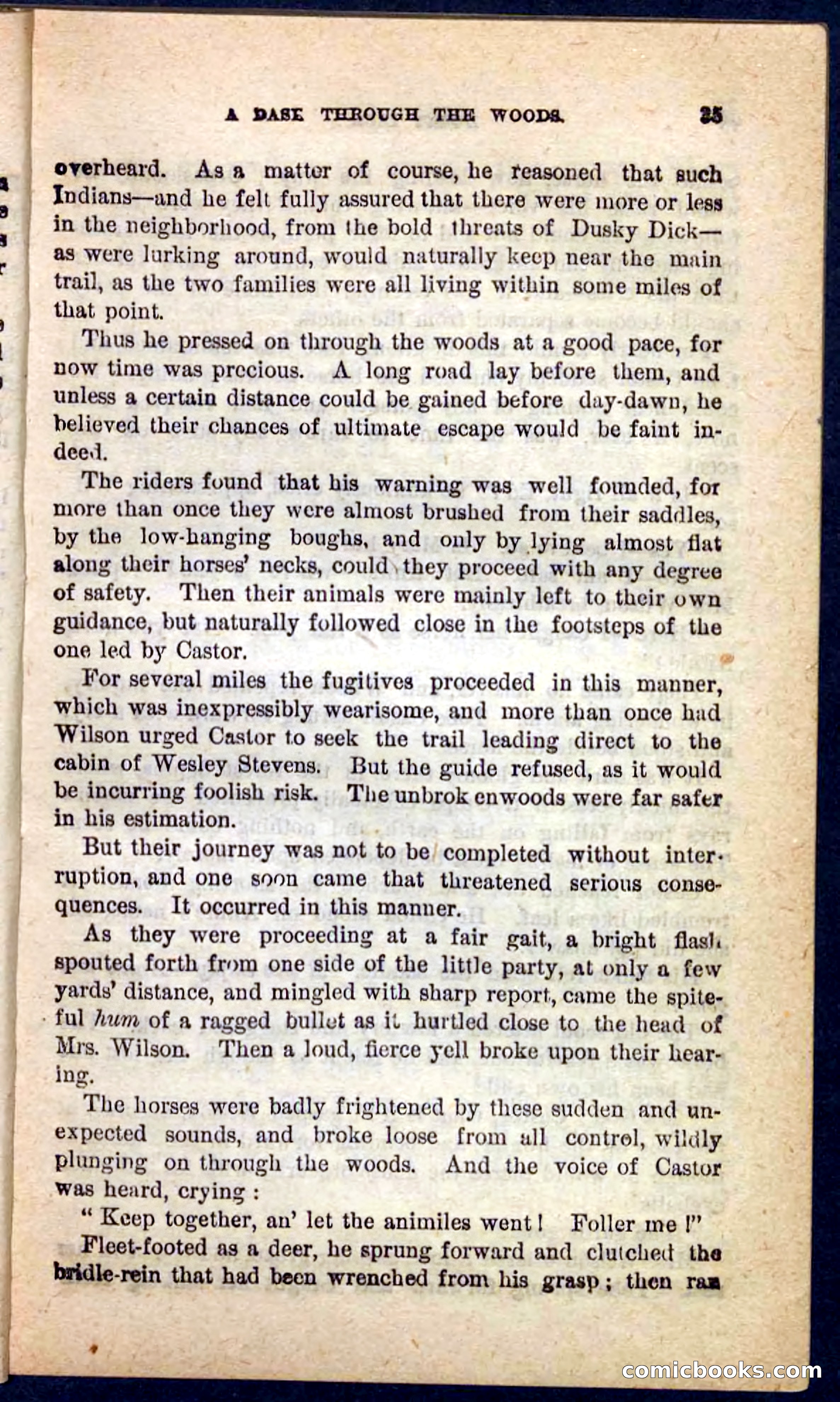 Dusky Dick — page 31 of 100