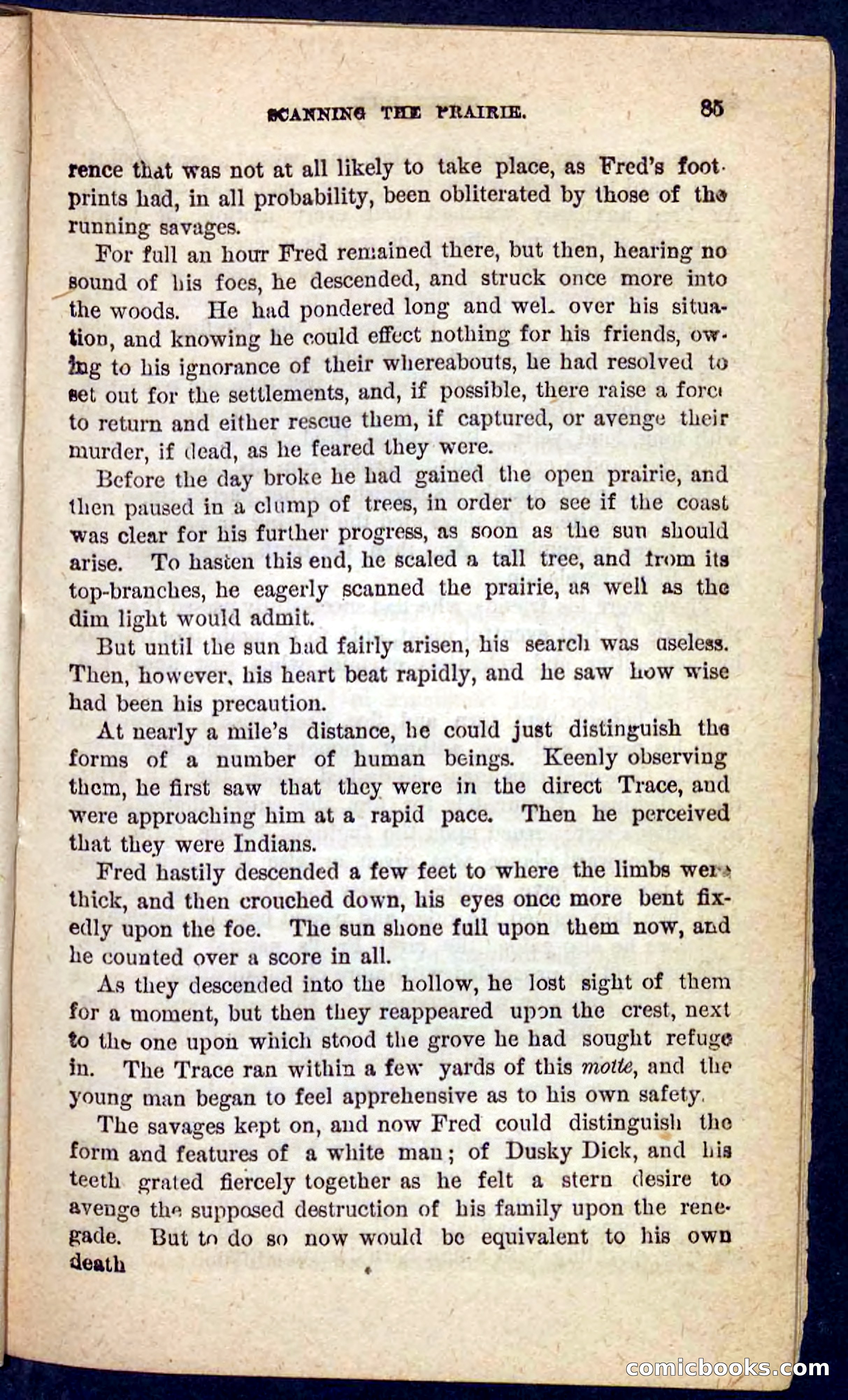 Dusky Dick — page 81 of 100