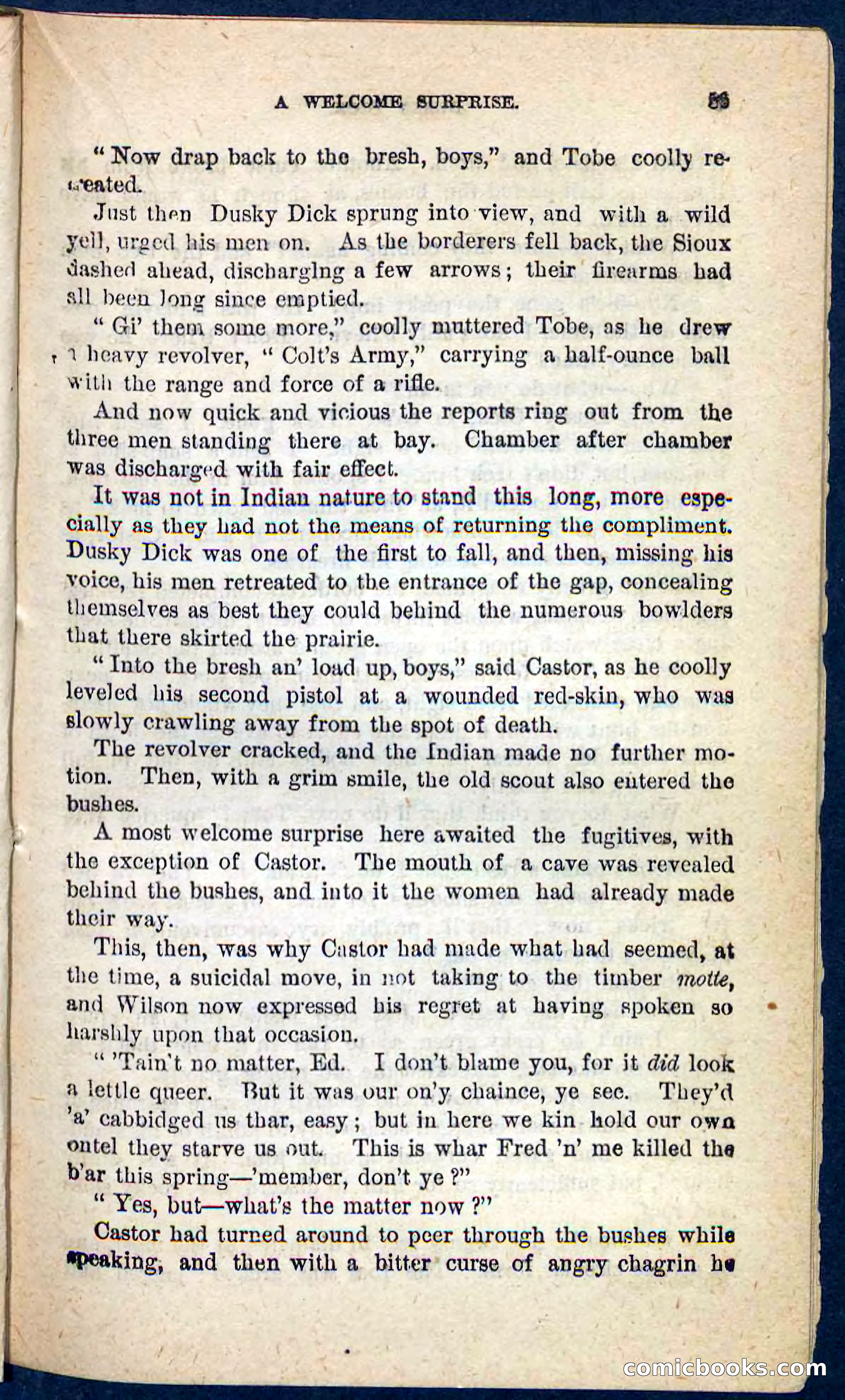 Dusky Dick — page 85 of 100