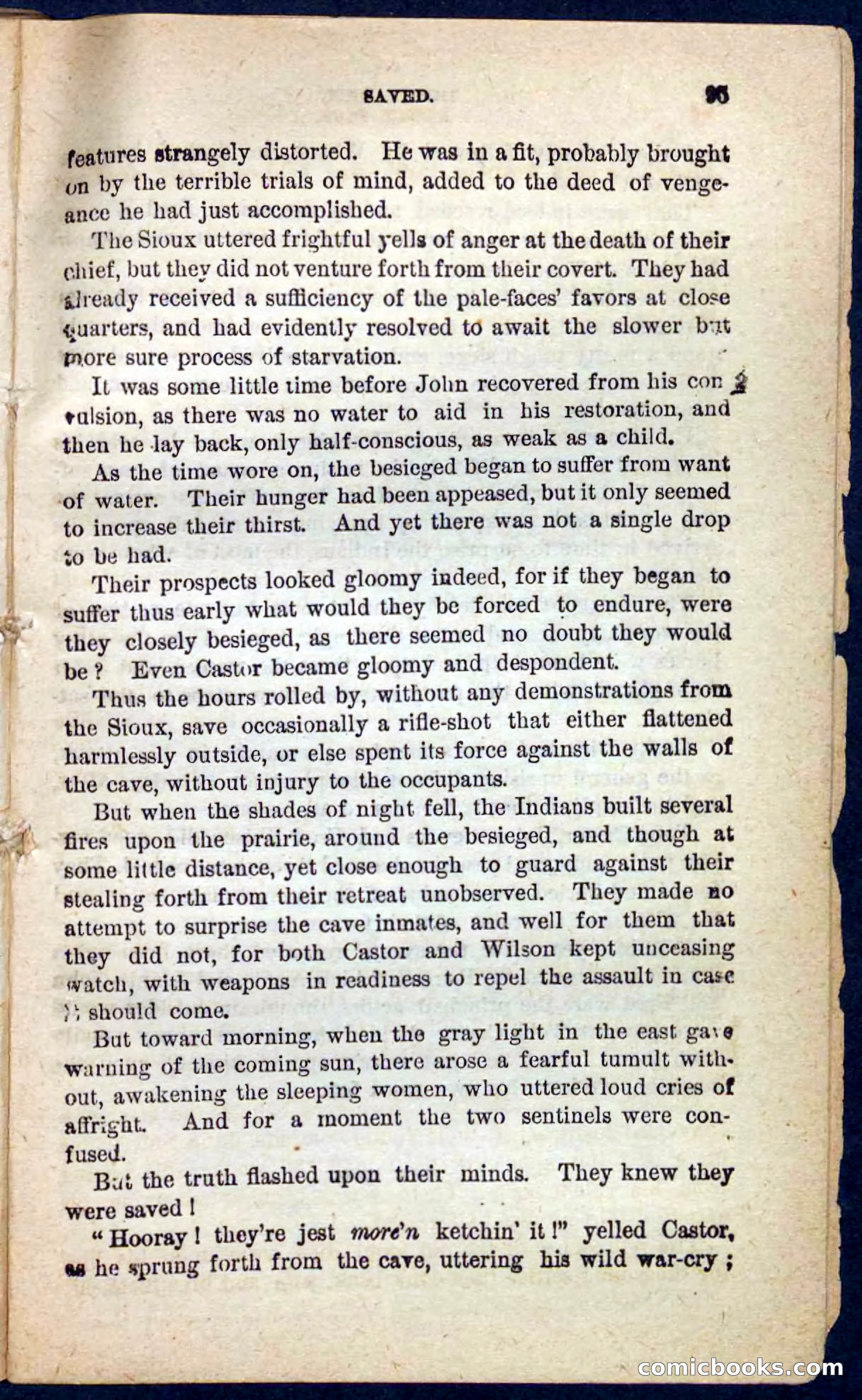 Dusky Dick — page 91 of 100