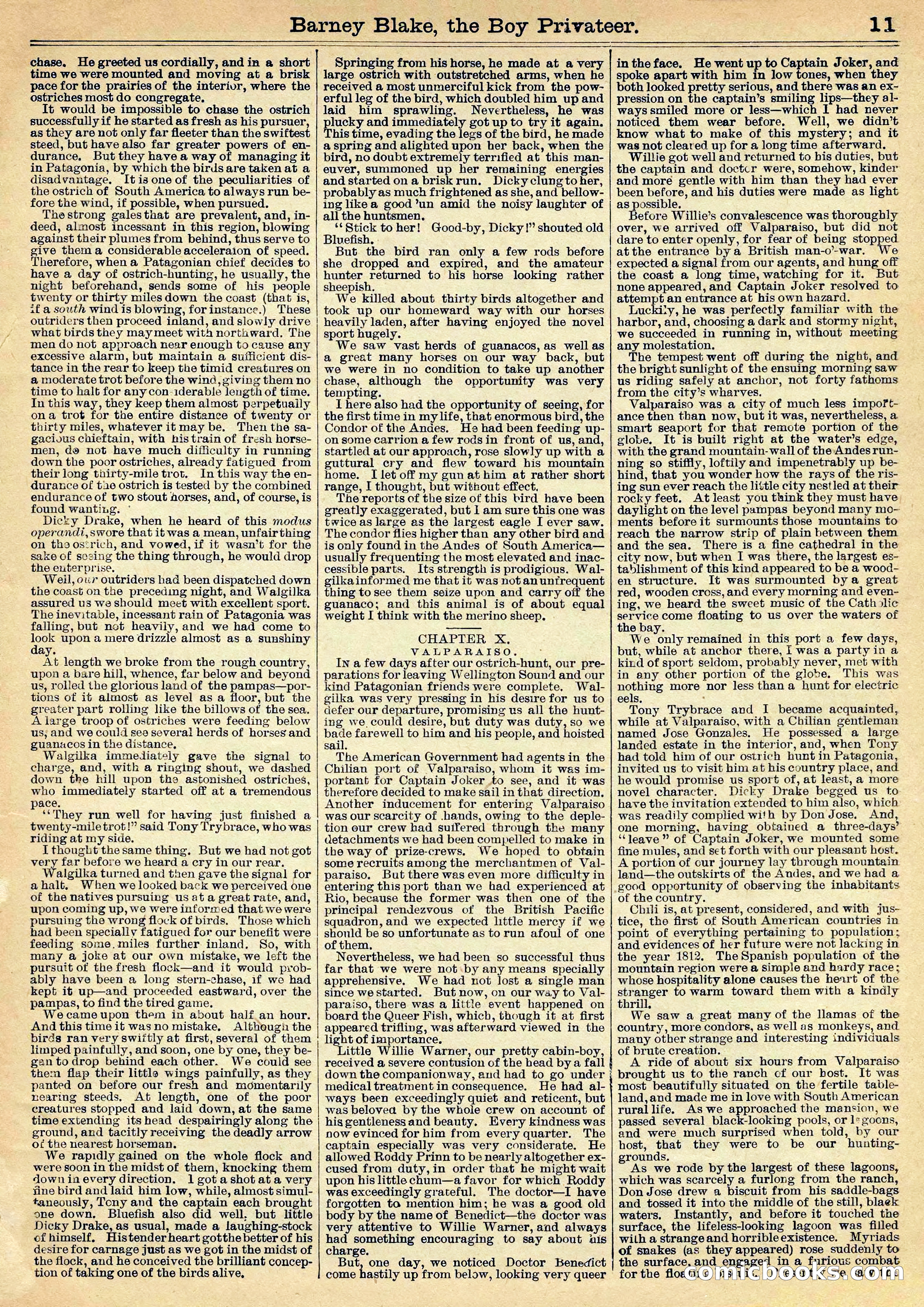 Beadle's Half Dime Library Vol. XL, No. 1020 — page 11 of 16