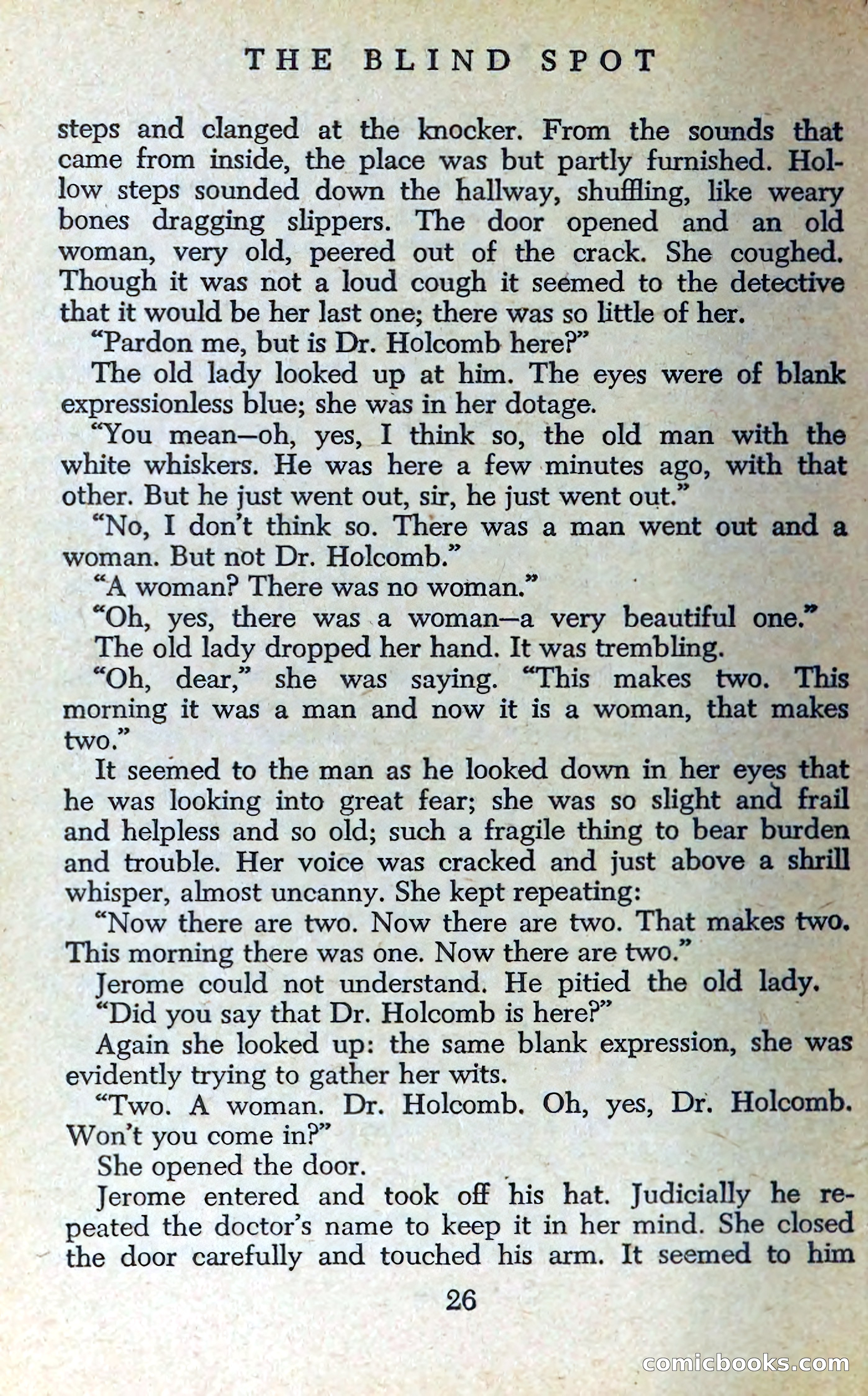The Blind Spot — page 29 of 325