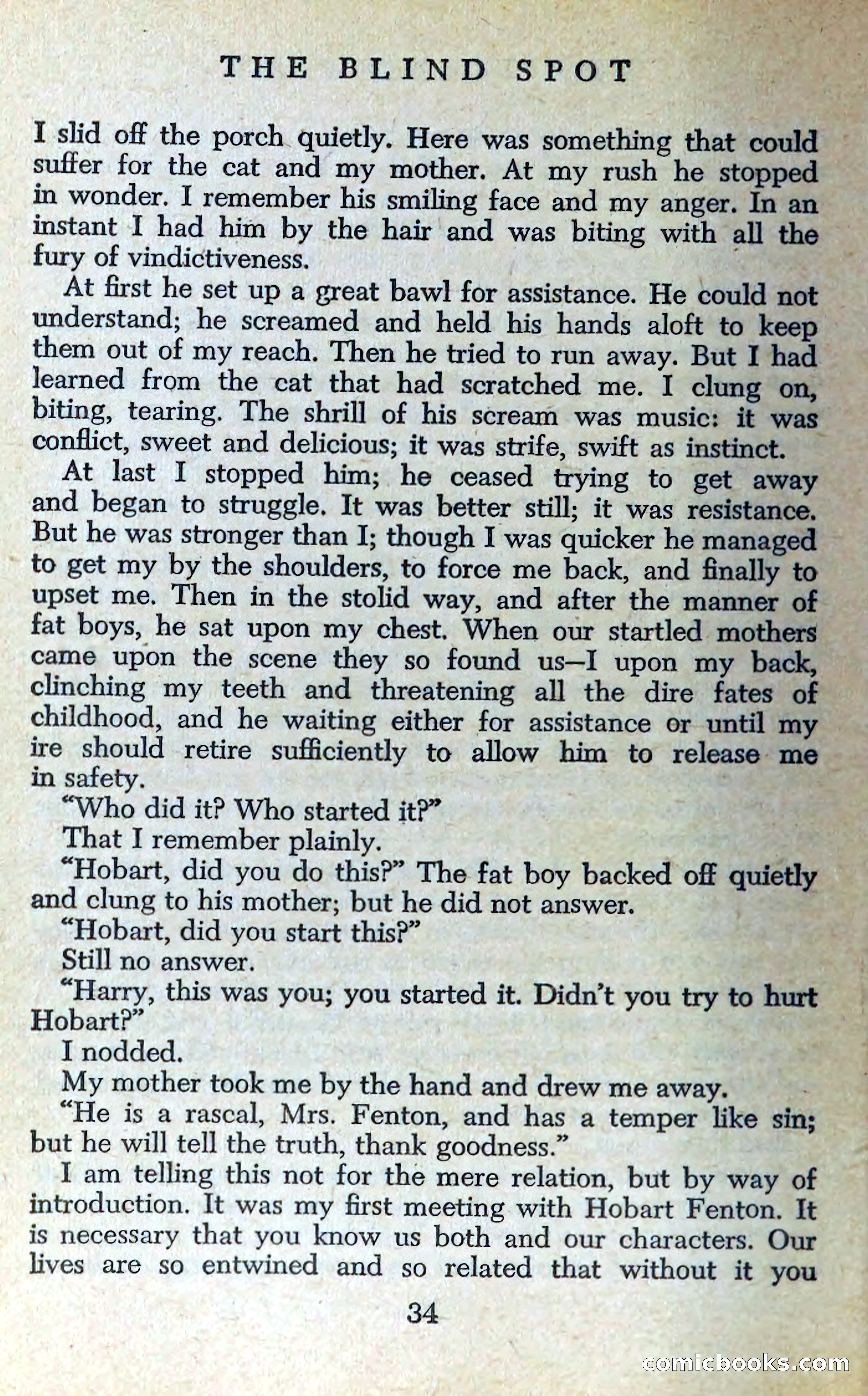 The Blind Spot — page 37 of 325