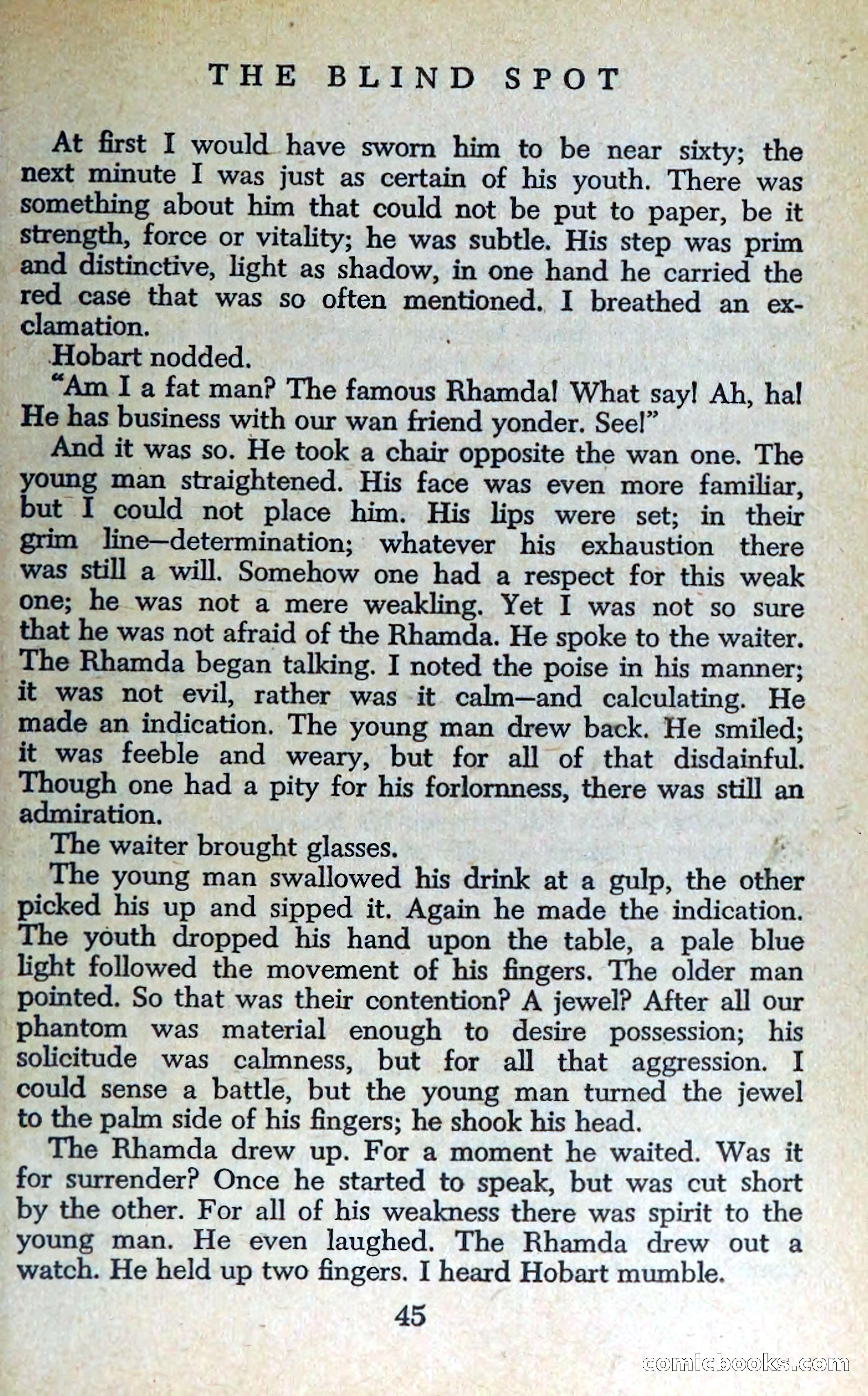 The Blind Spot — page 48 of 325
