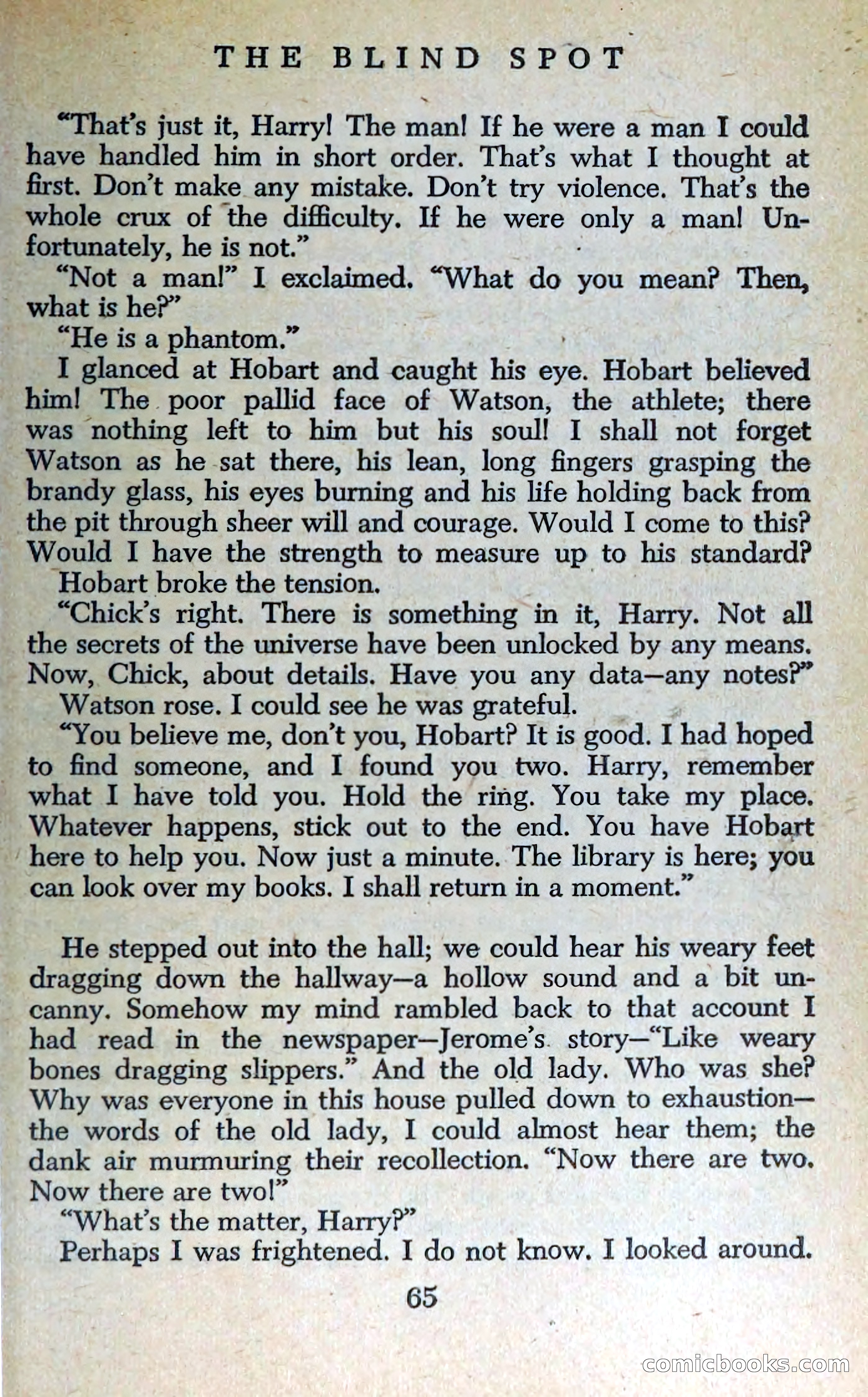 The Blind Spot — page 68 of 325