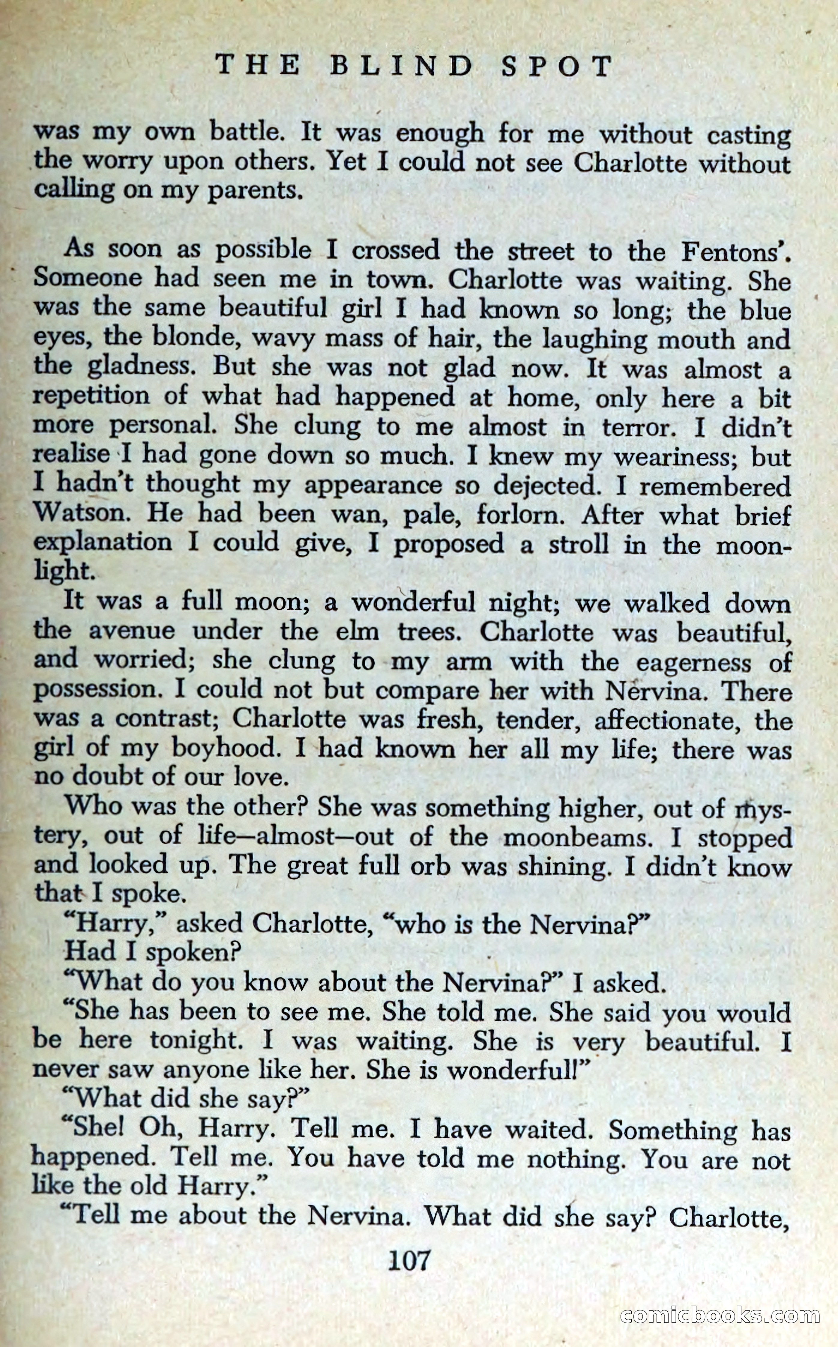 The Blind Spot — page 110 of 325