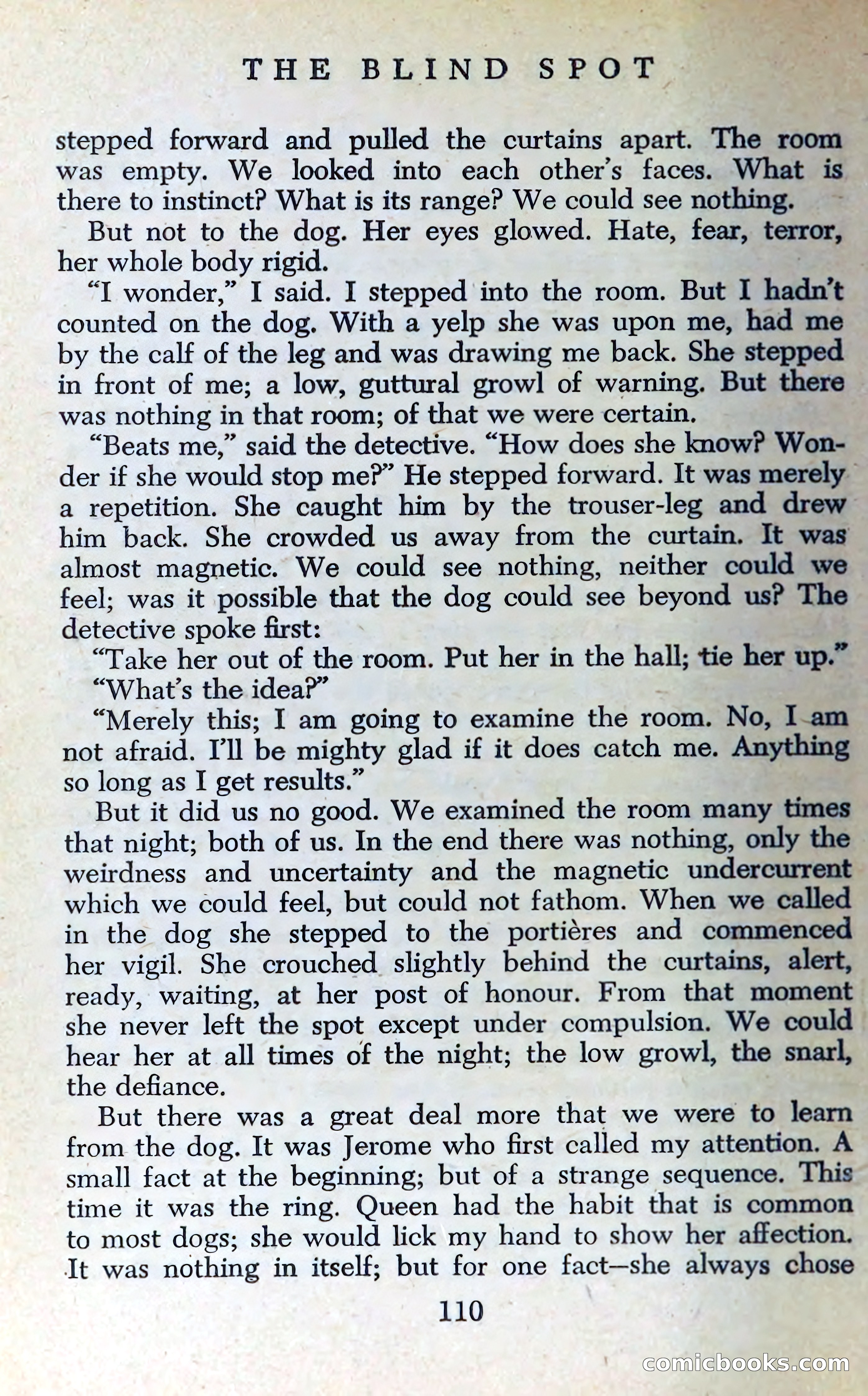 The Blind Spot — page 113 of 325