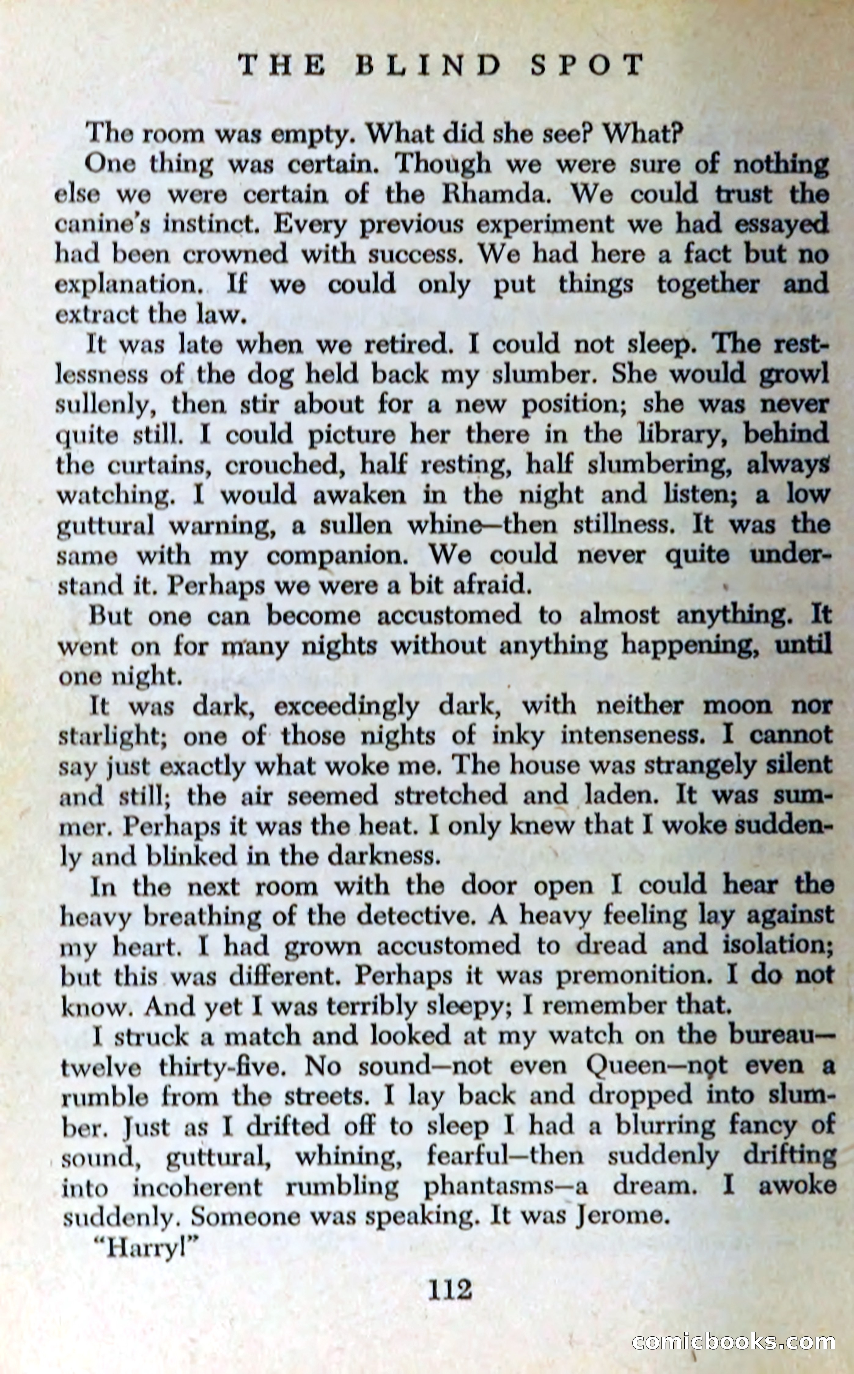 The Blind Spot — page 115 of 325