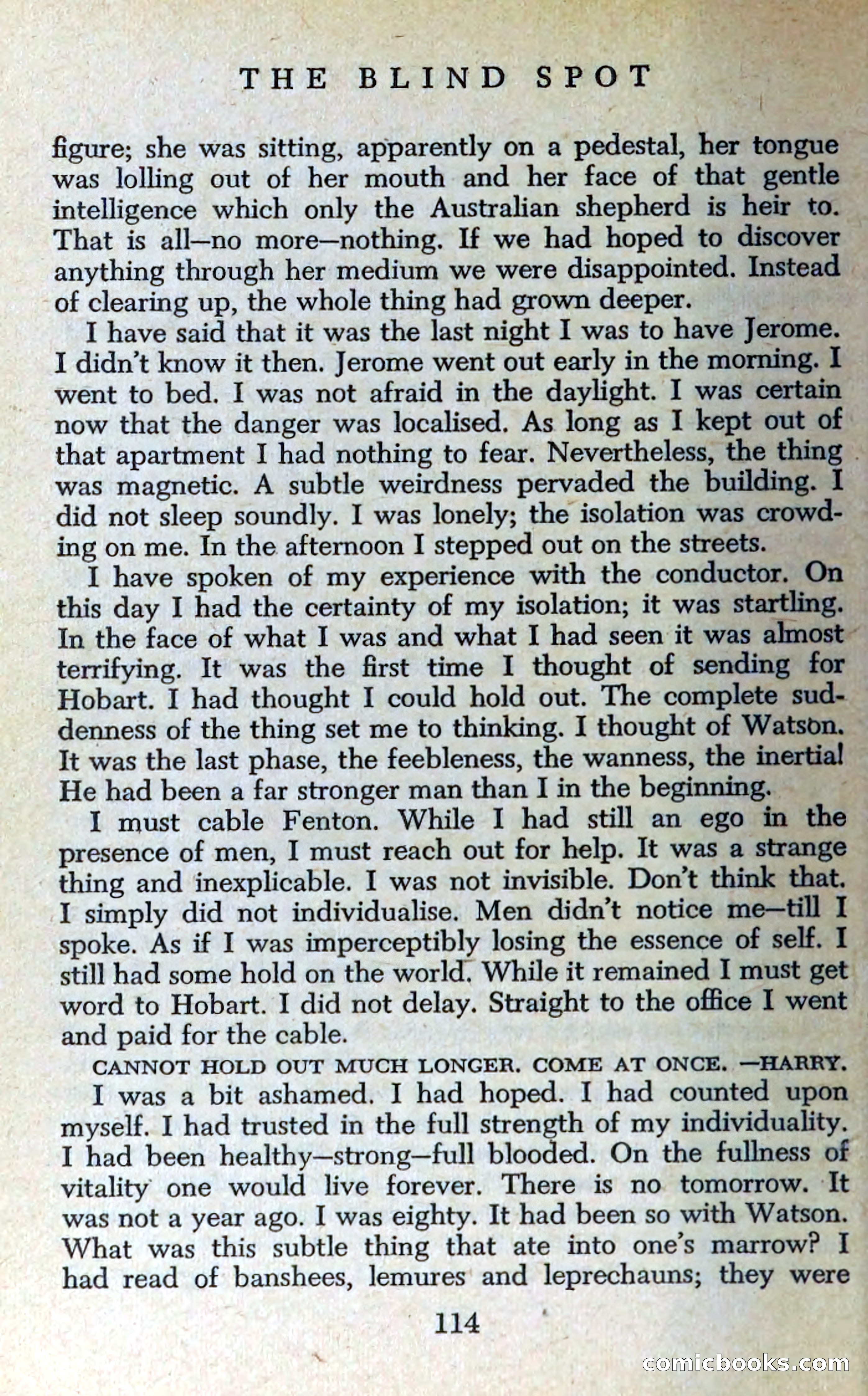 The Blind Spot — page 117 of 325