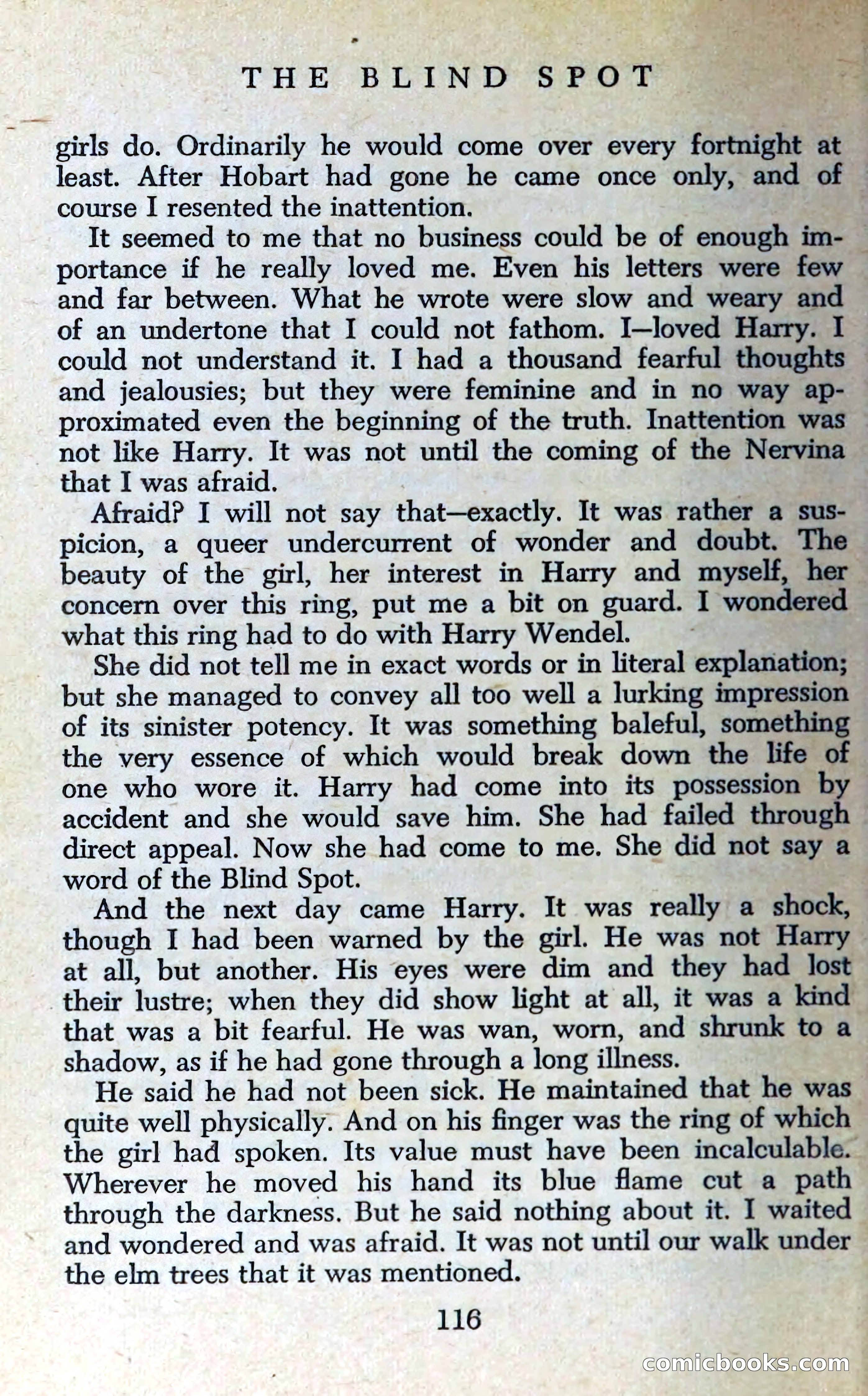 The Blind Spot — page 119 of 325