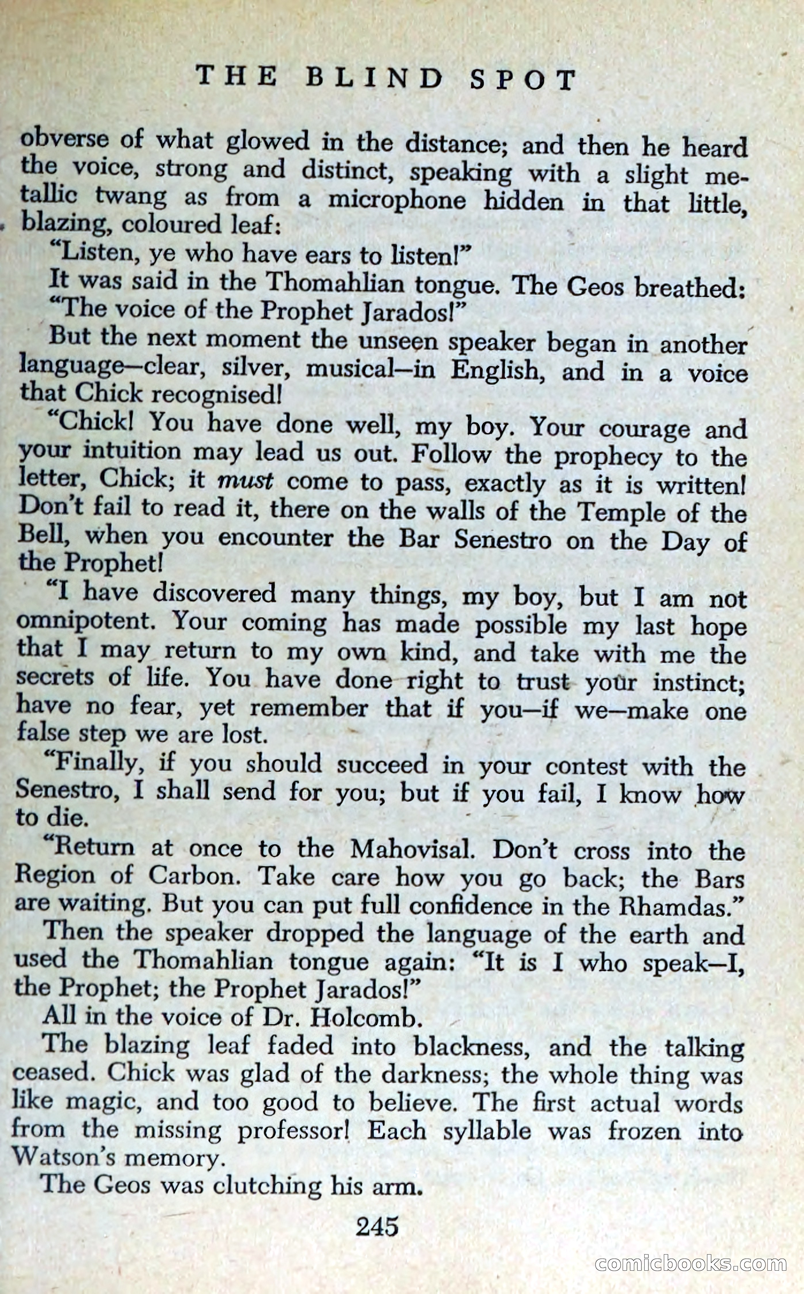 The Blind Spot — page 248 of 325