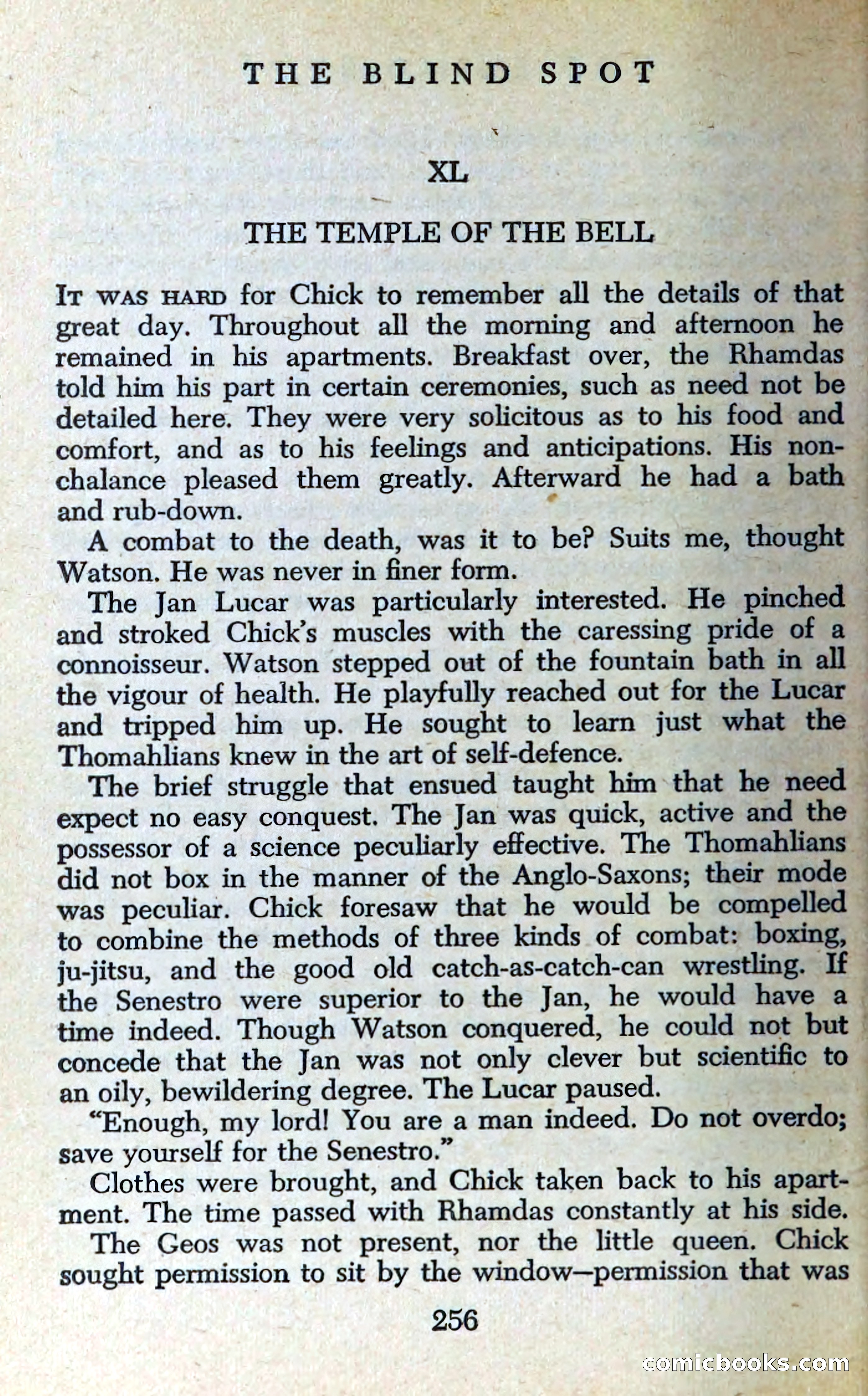 The Blind Spot — page 259 of 325