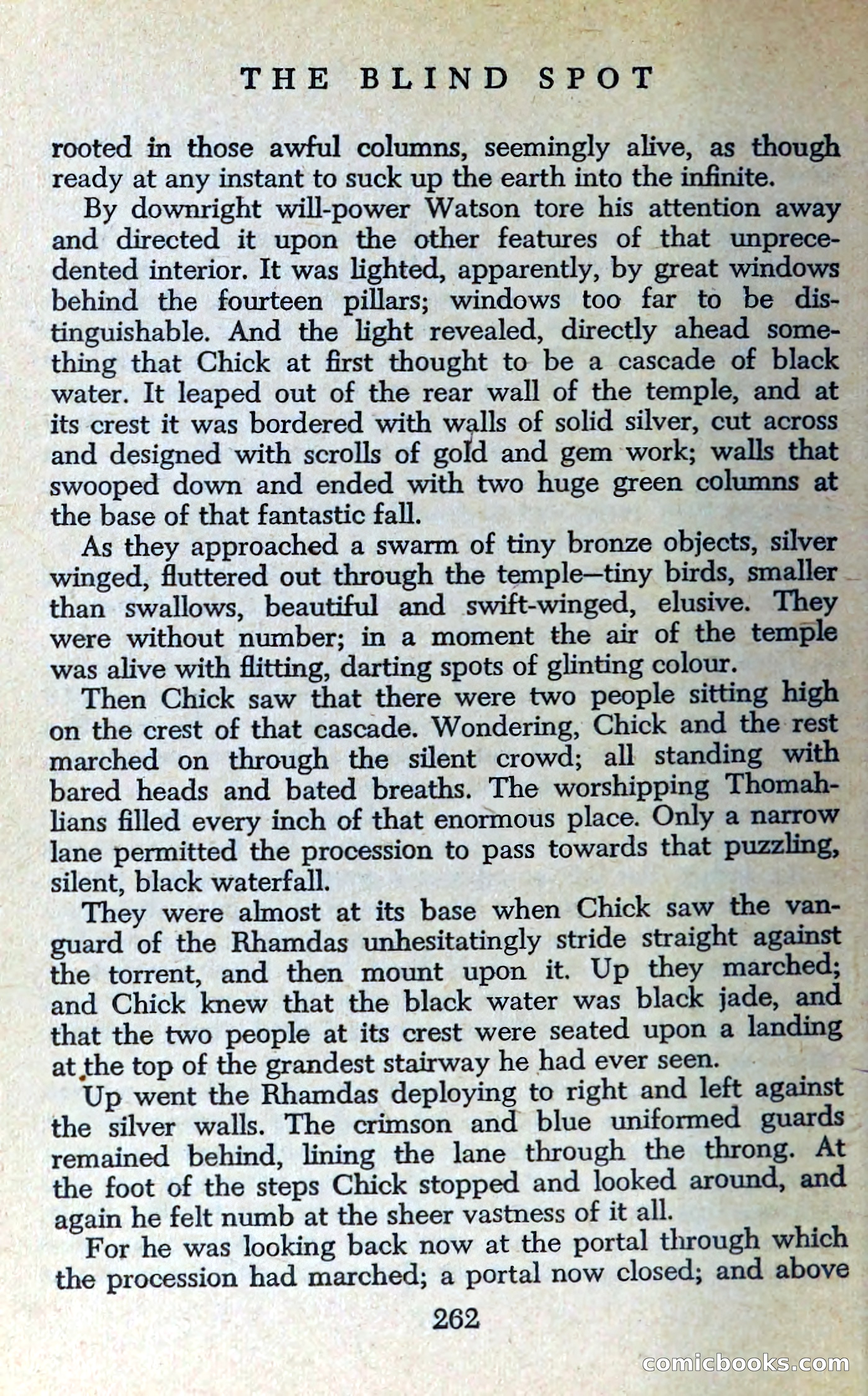 The Blind Spot — page 265 of 325