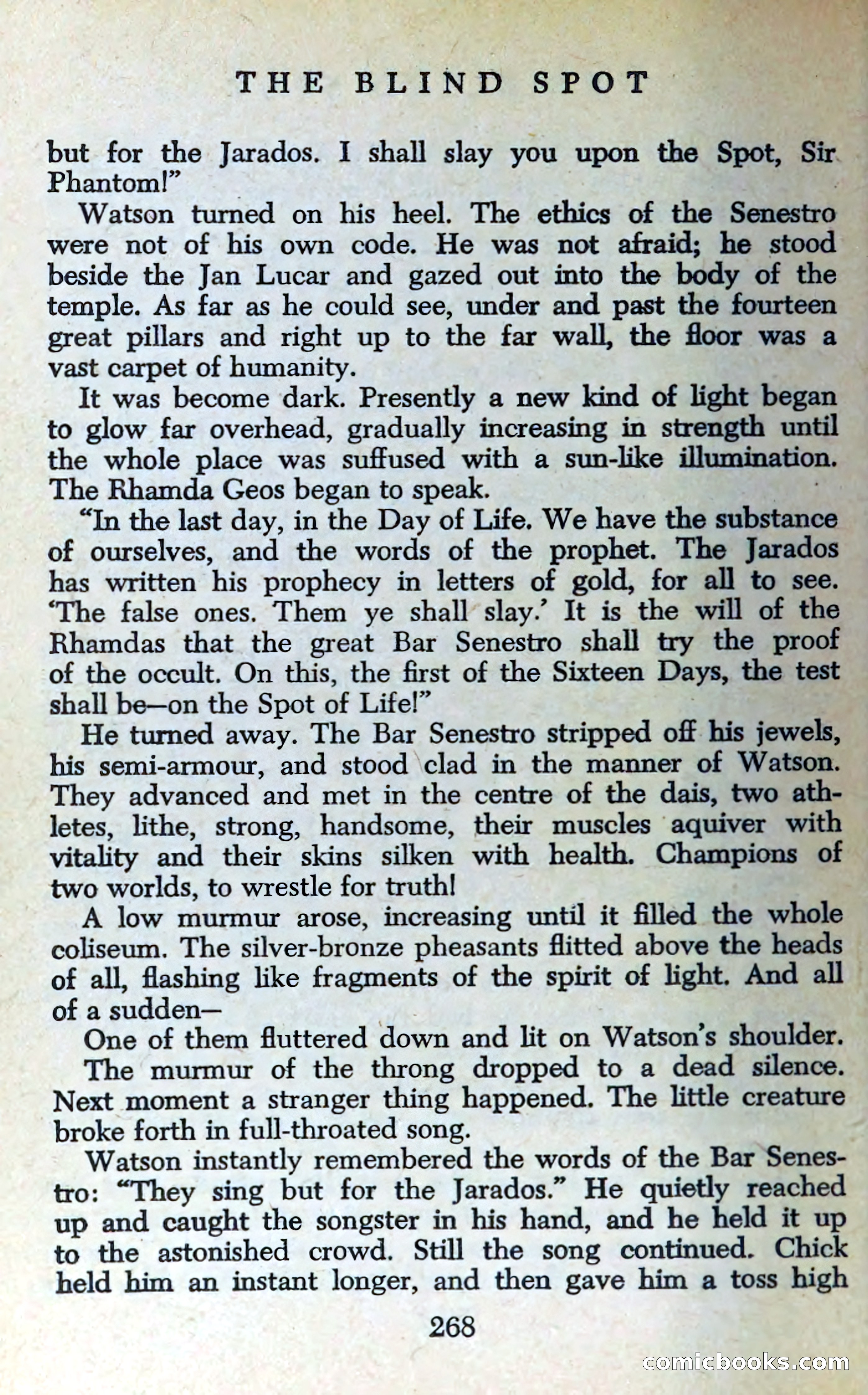 The Blind Spot — page 271 of 325