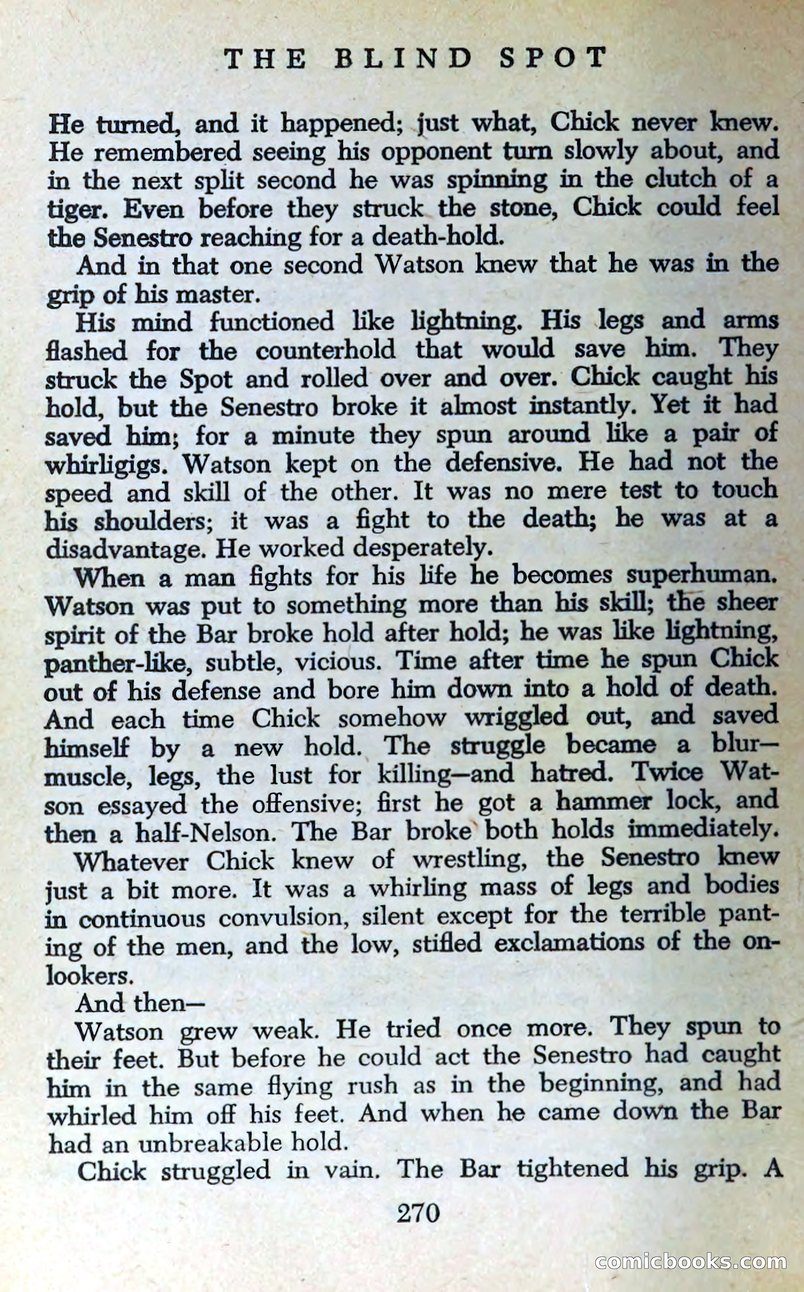 The Blind Spot — page 273 of 325