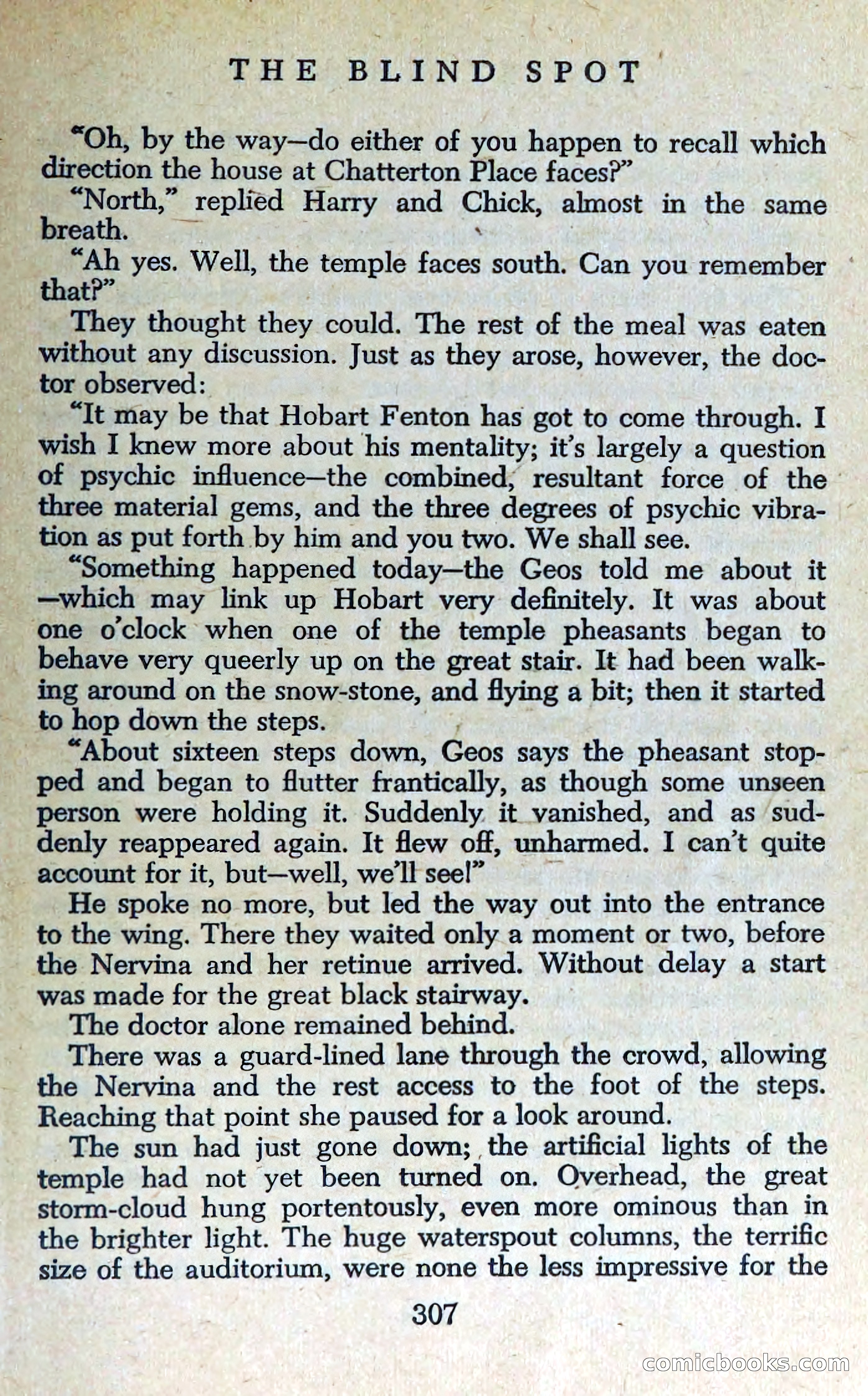 The Blind Spot — page 310 of 325