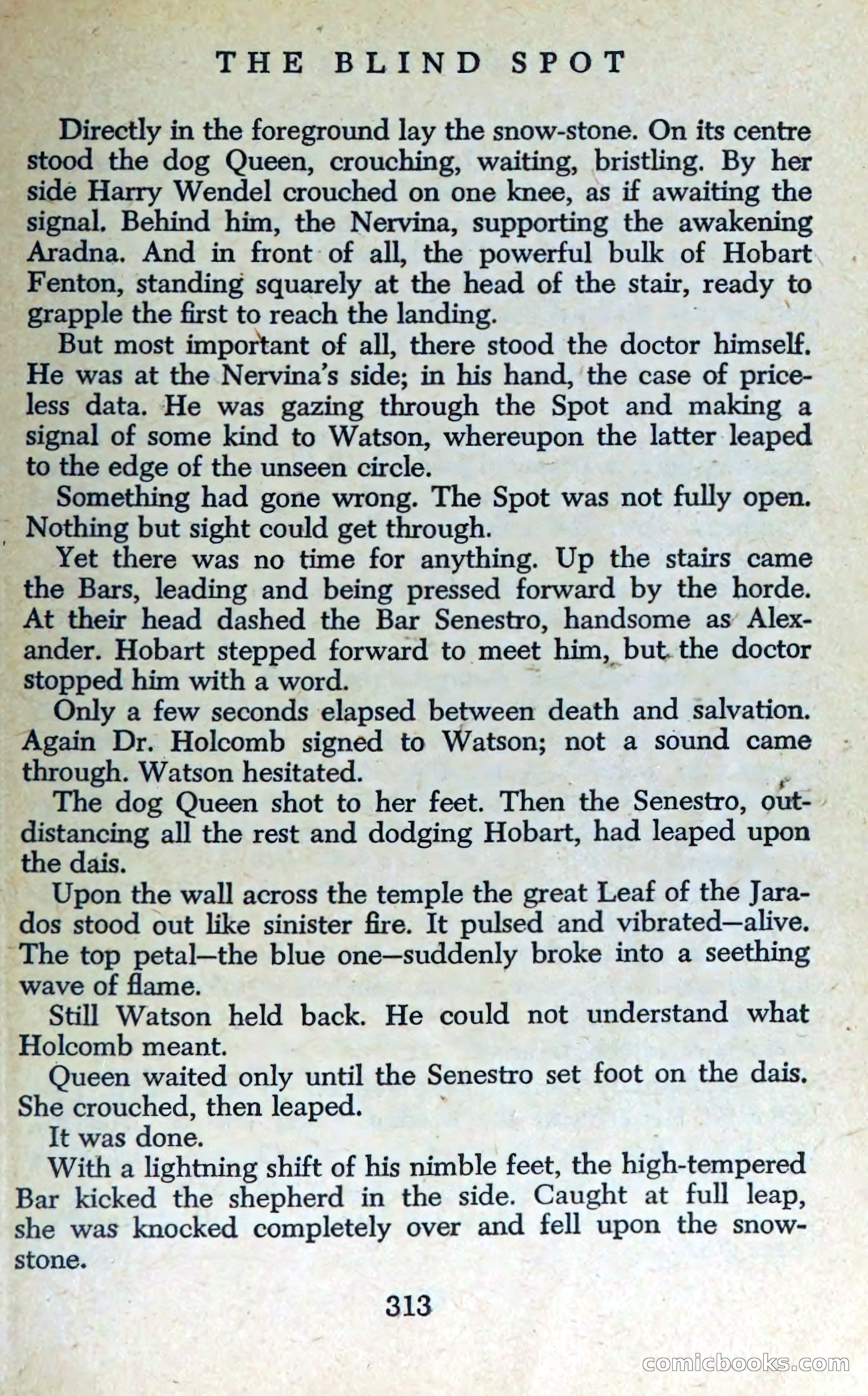 The Blind Spot — page 316 of 325