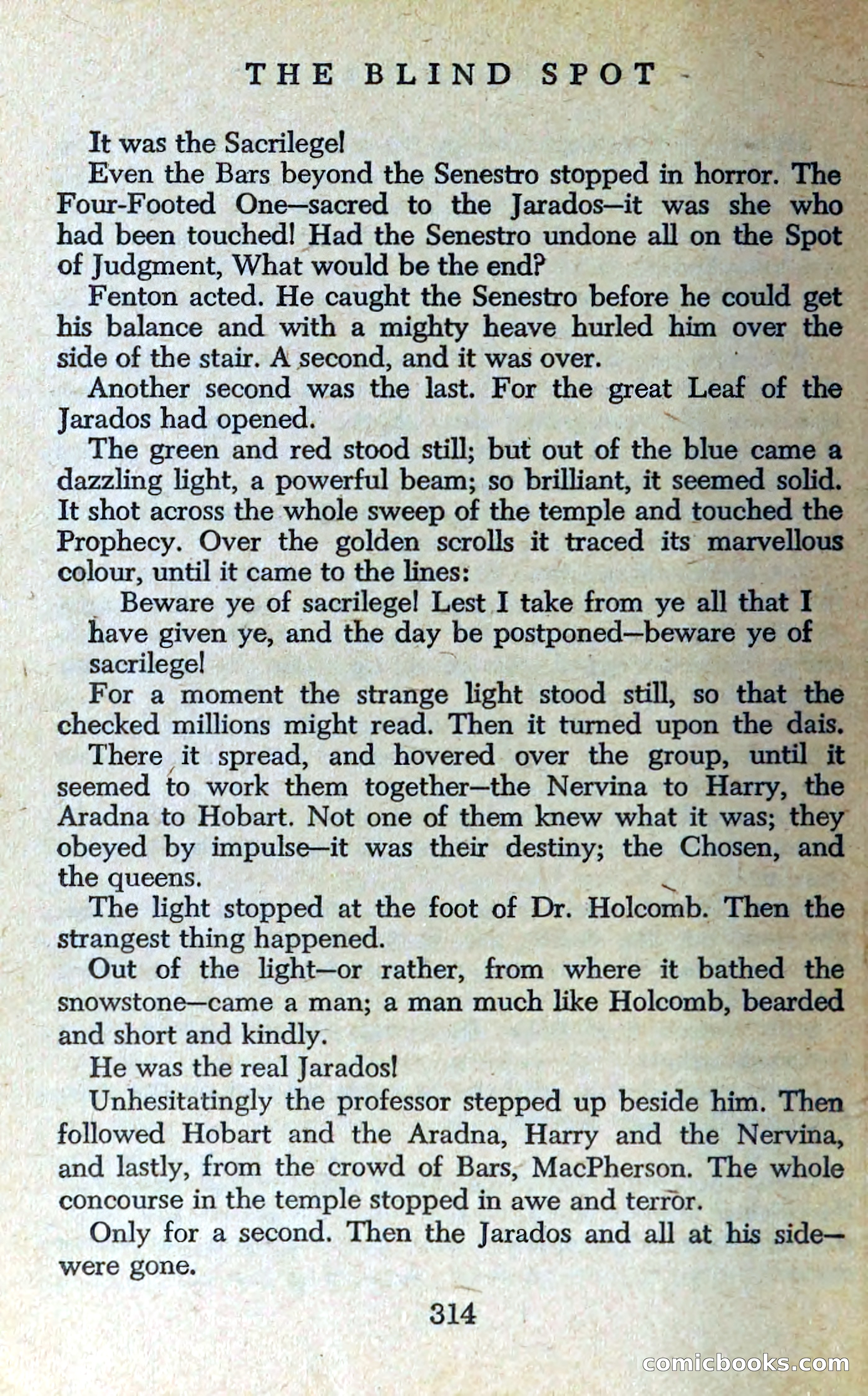 The Blind Spot — page 317 of 325