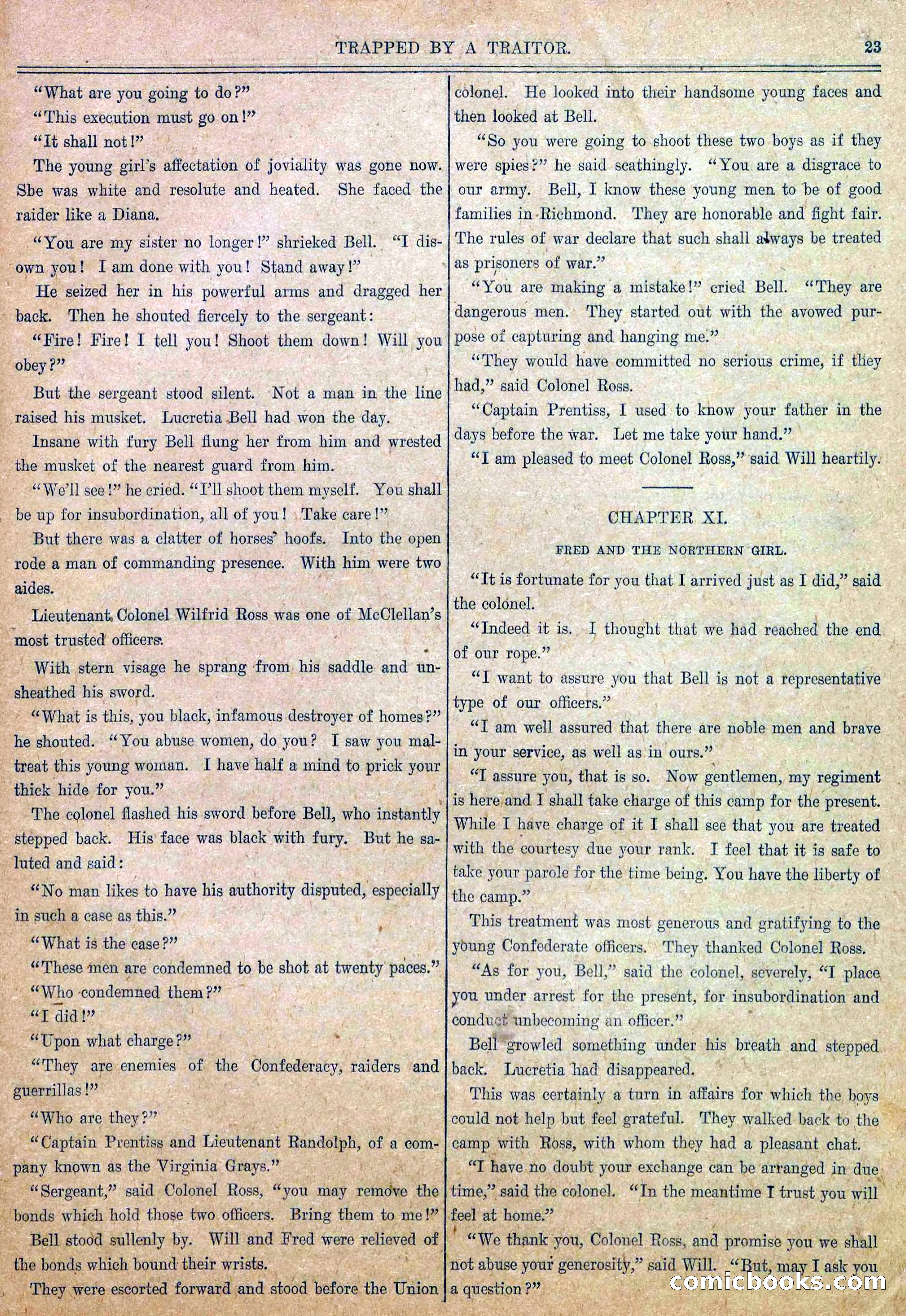 Blue and Gray Weekly, No. 12 — page 25 of 36