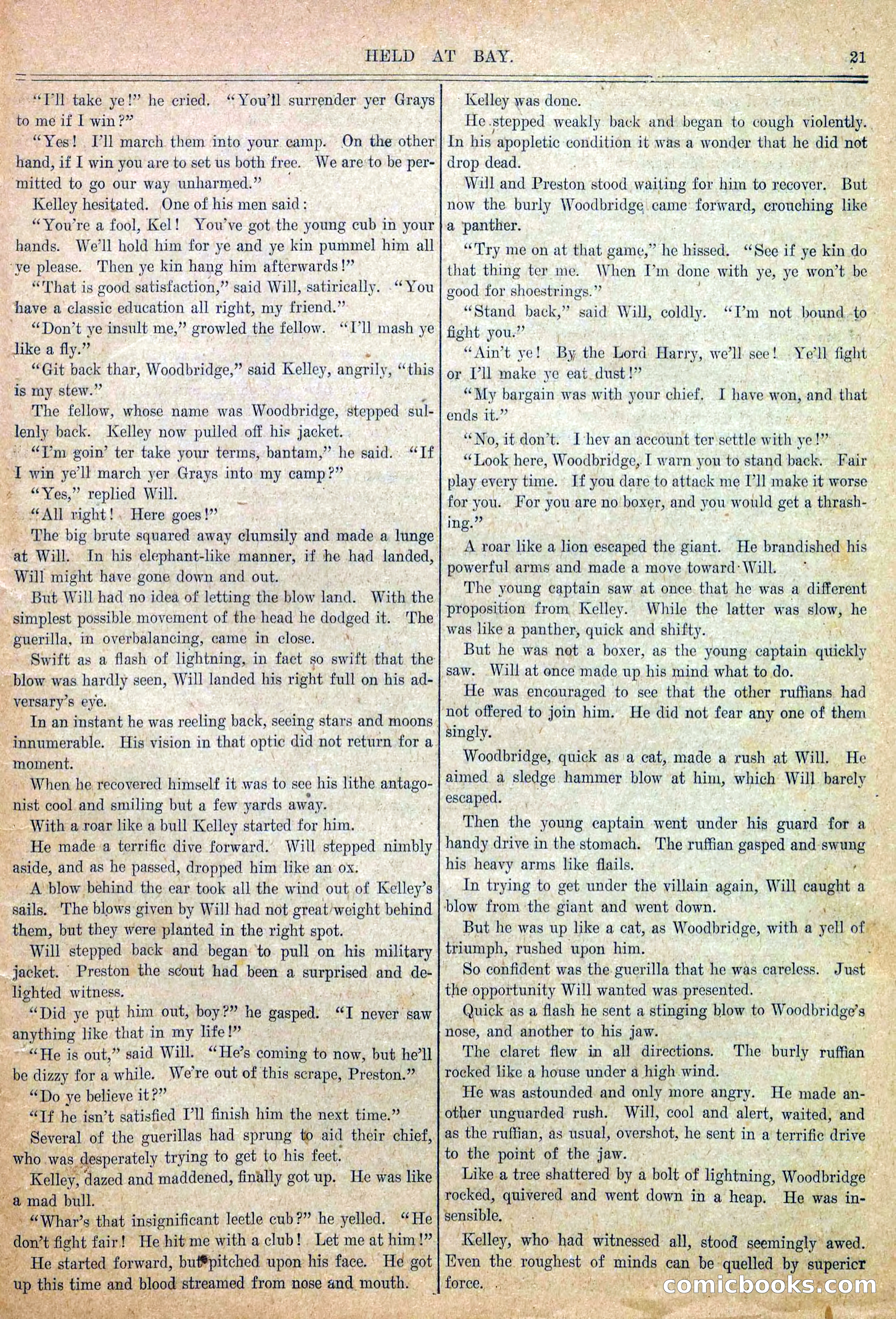 Blue and Gray Weekly, No. 14 — page 23 of 36