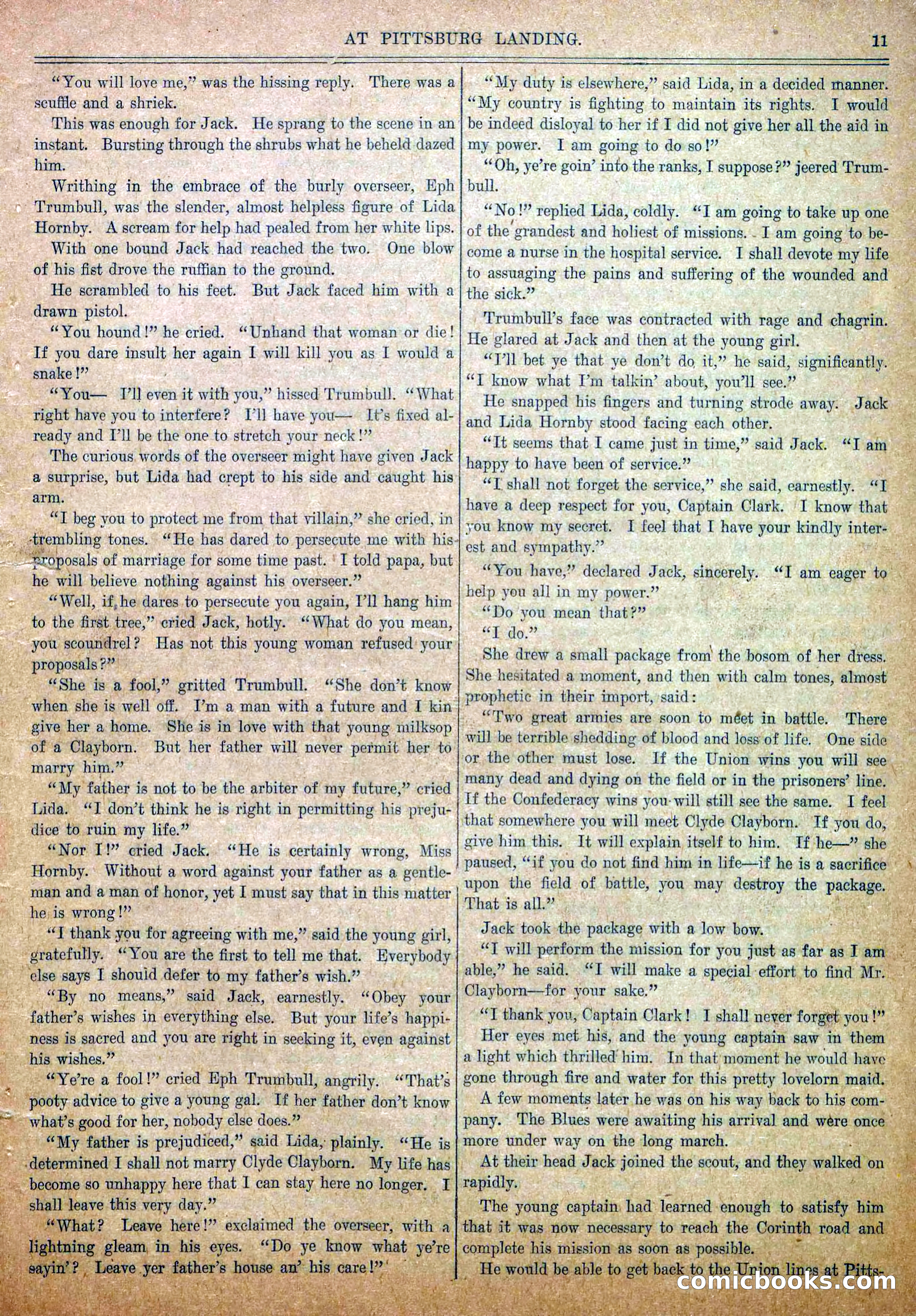 Blue and Gray Weekly, No. 15 — page 13 of 36