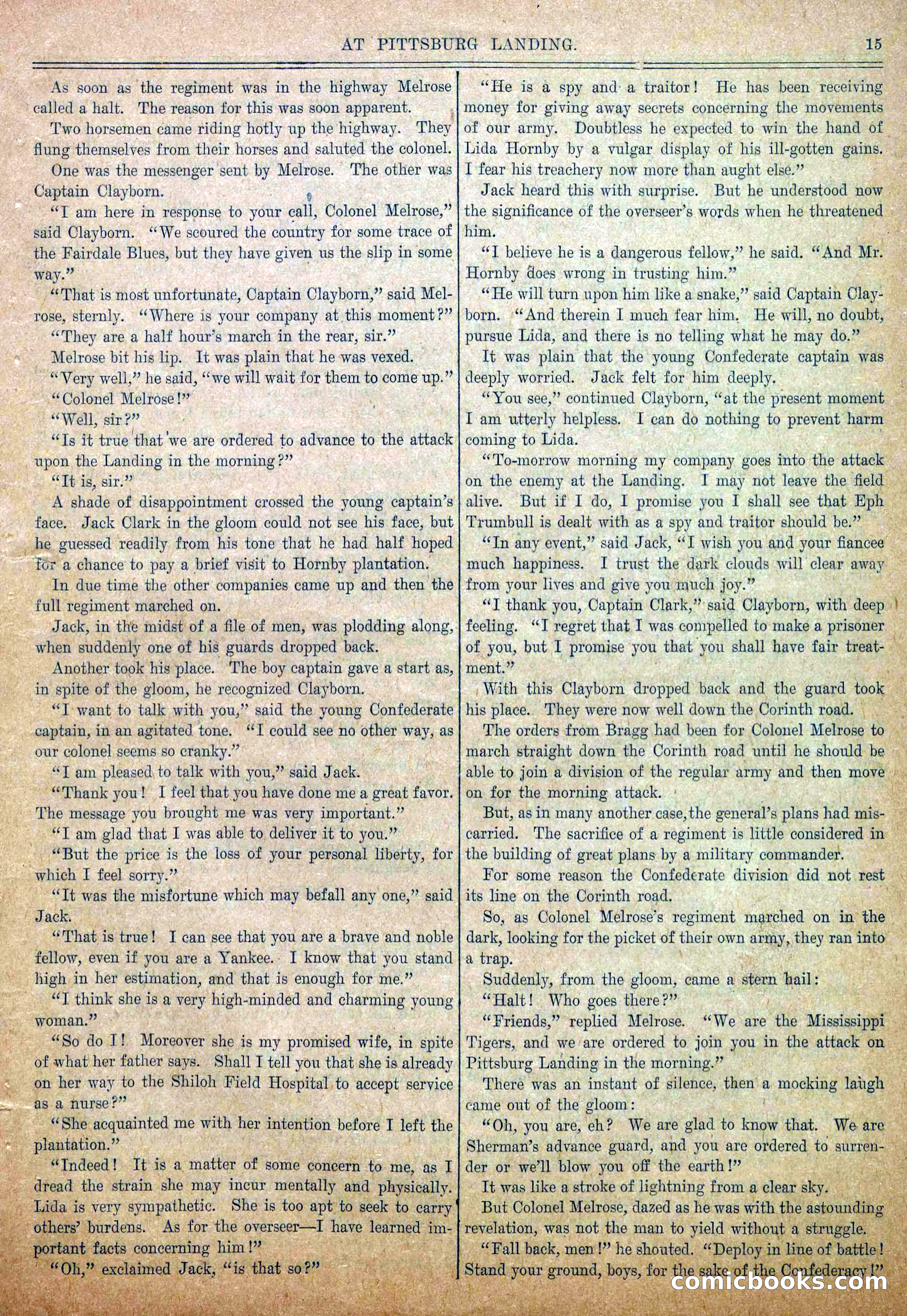Blue and Gray Weekly, No. 15 — page 17 of 36