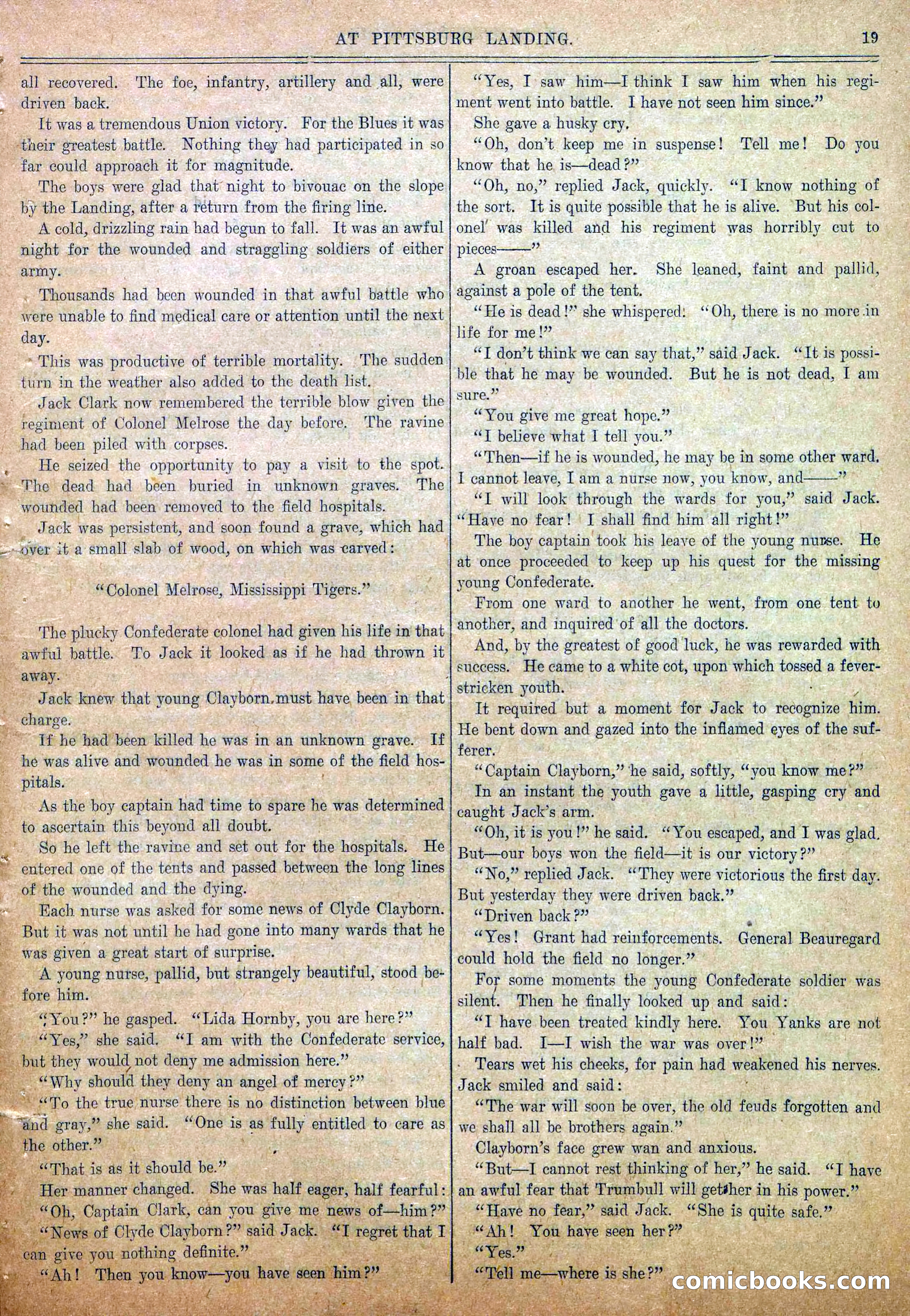 Blue and Gray Weekly, No. 15 — page 21 of 36