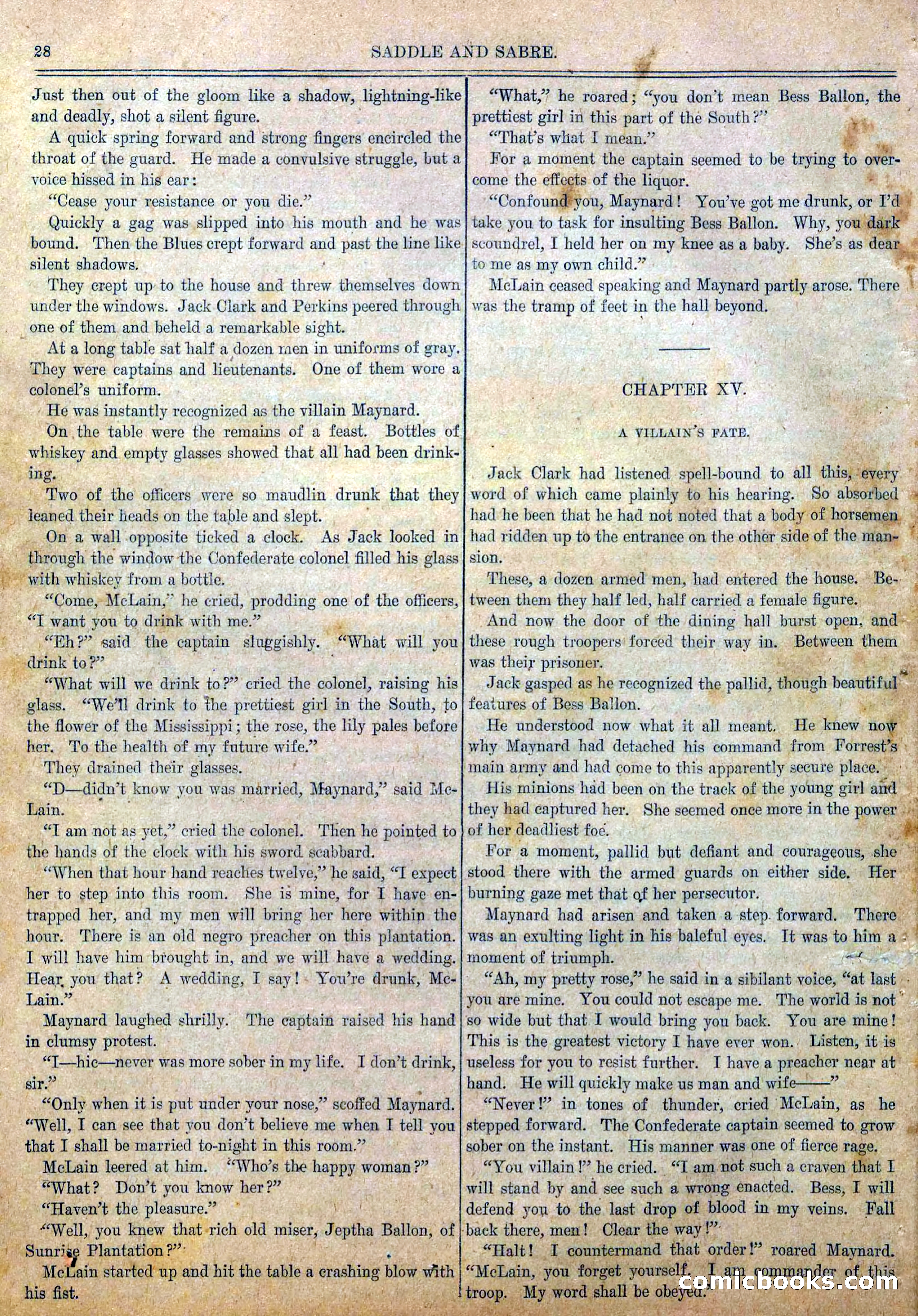 Blue and Gray Weekly, No. 25 — page 30 of 36