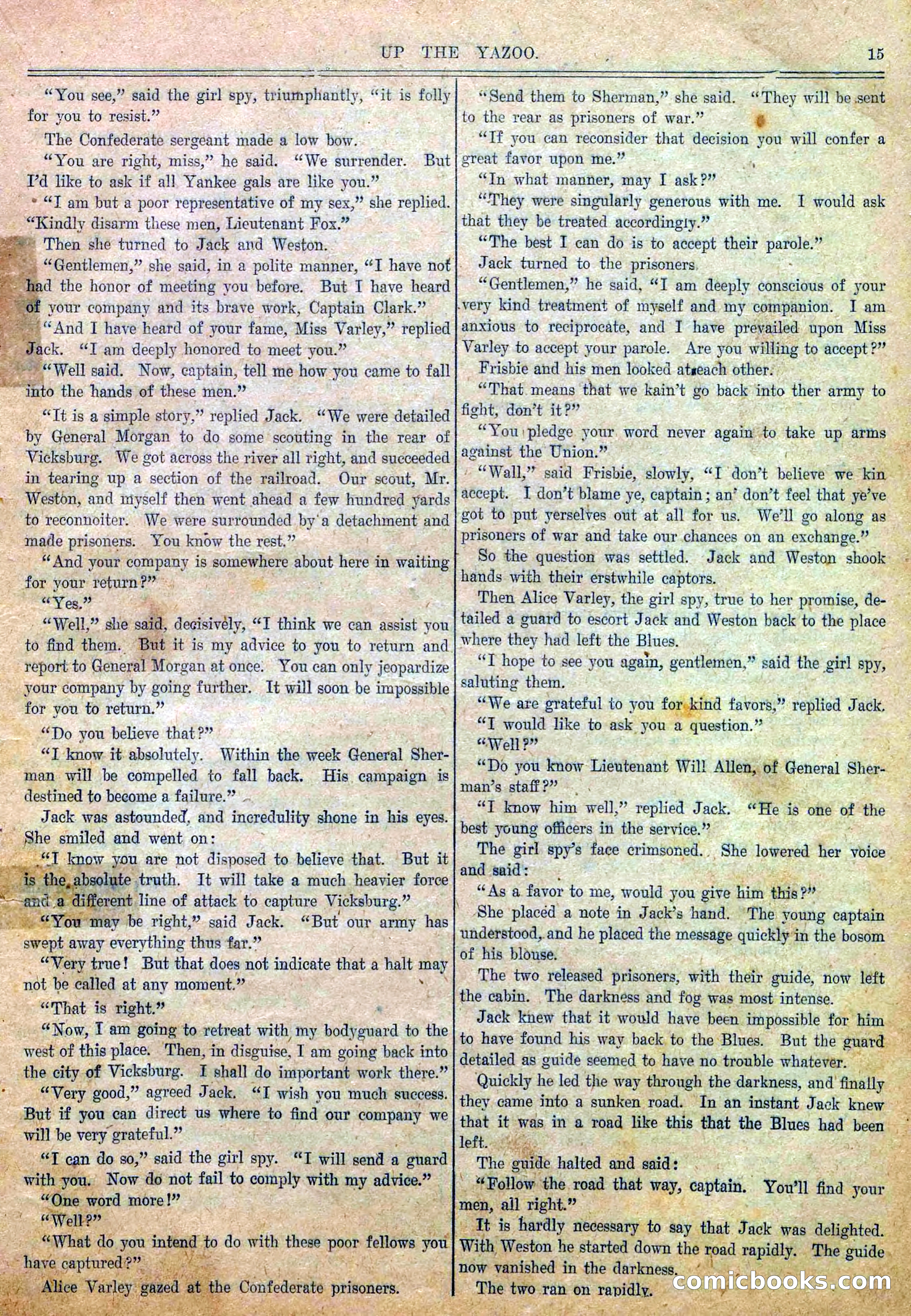 Blue and Gray Weekly, No. 29 — page 17 of 36