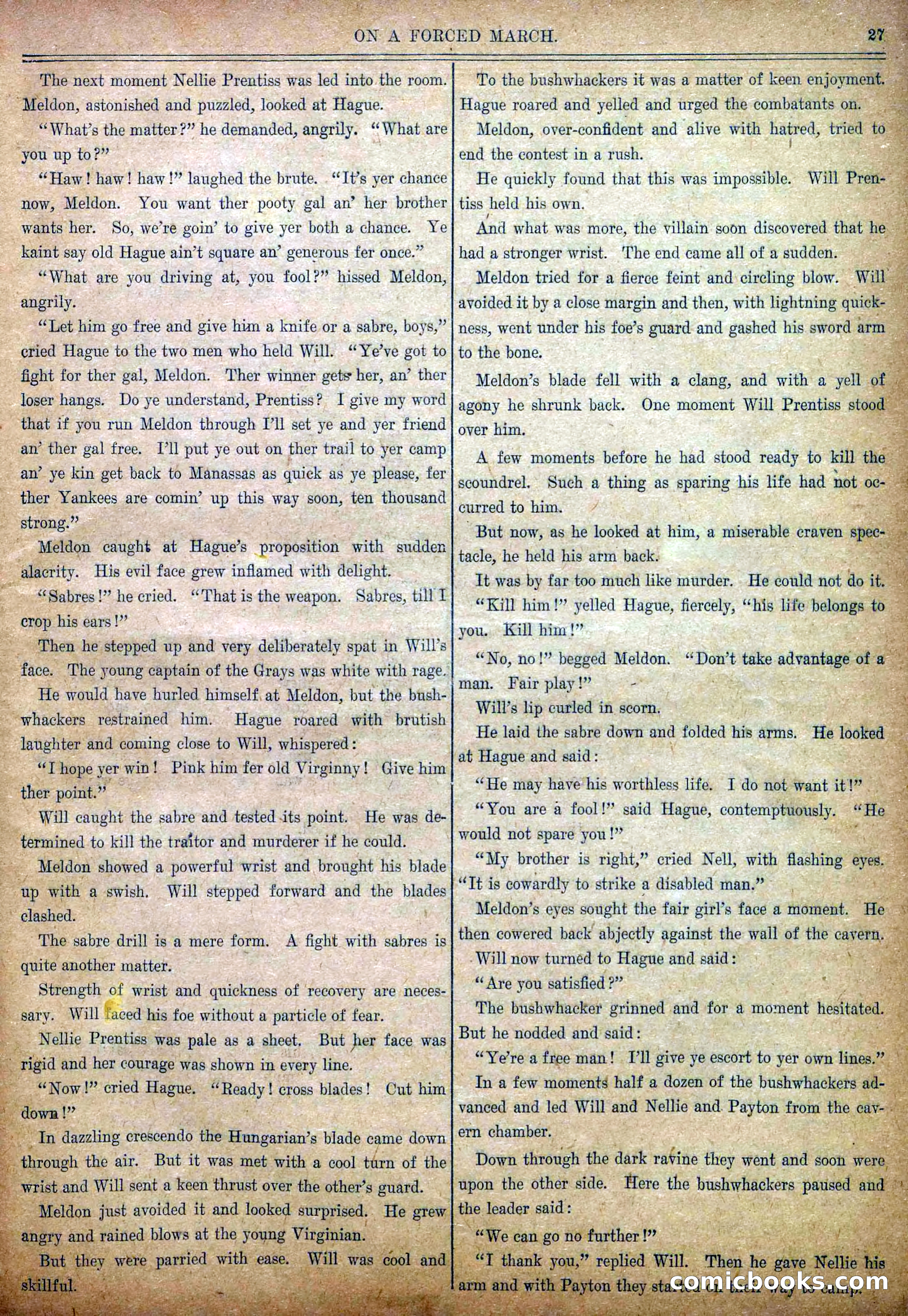Blue and Gray Weekly, No. 4 — page 29 of 35