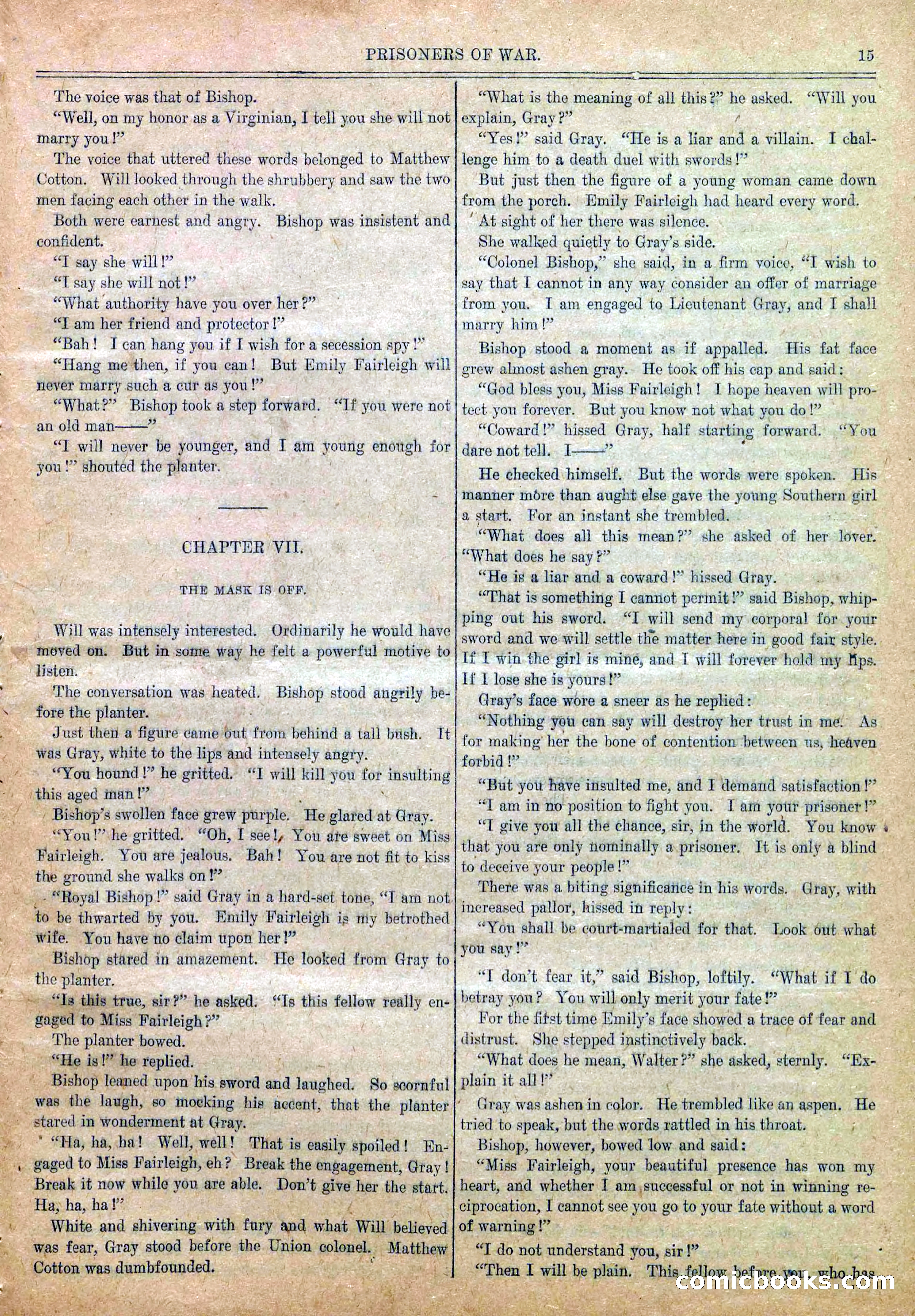 Blue and Gray Weekly, No. 6 — page 17 of 36