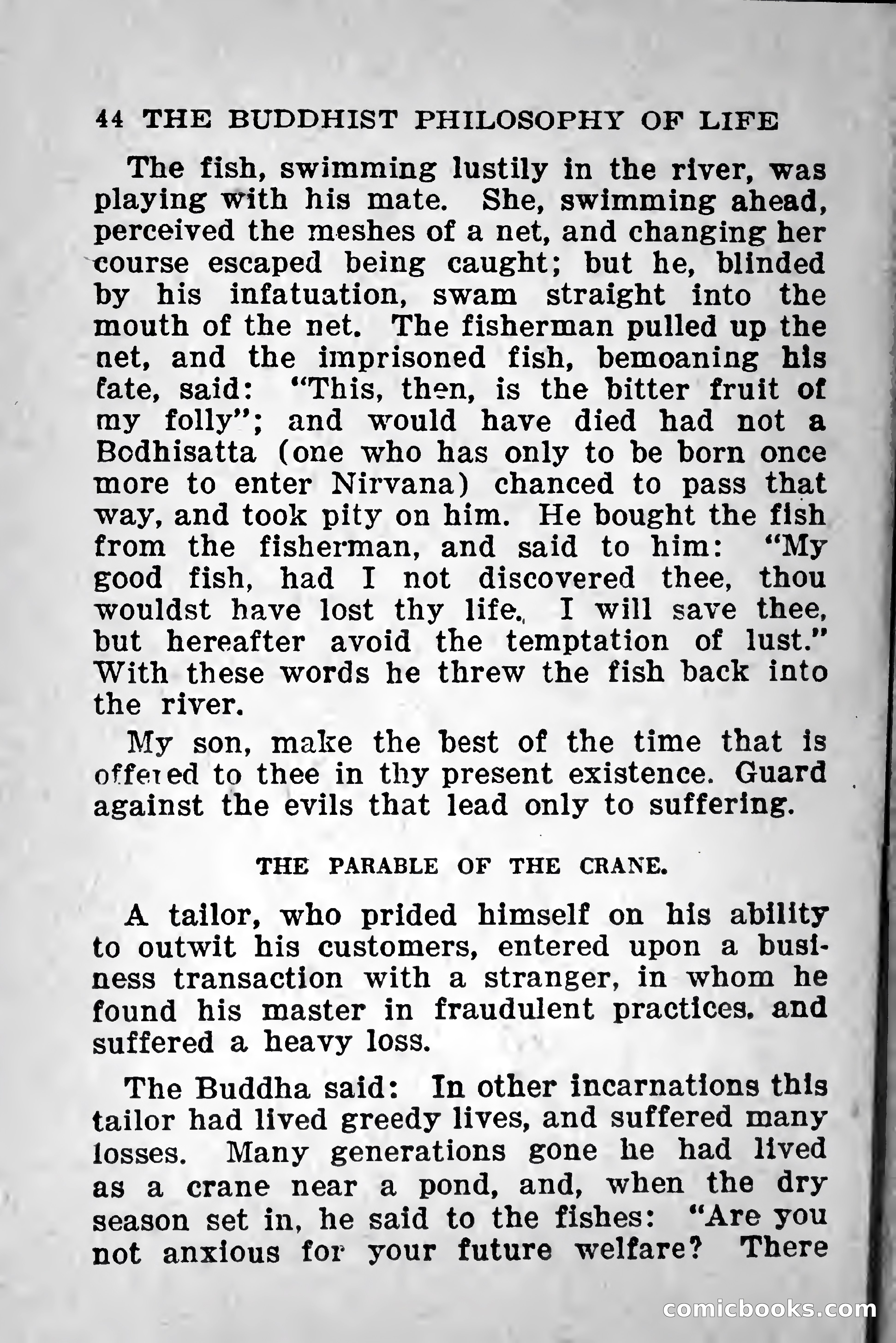 Little Blue Book No. 568: Darwin and the Theory of Evolution — page 282 of 400