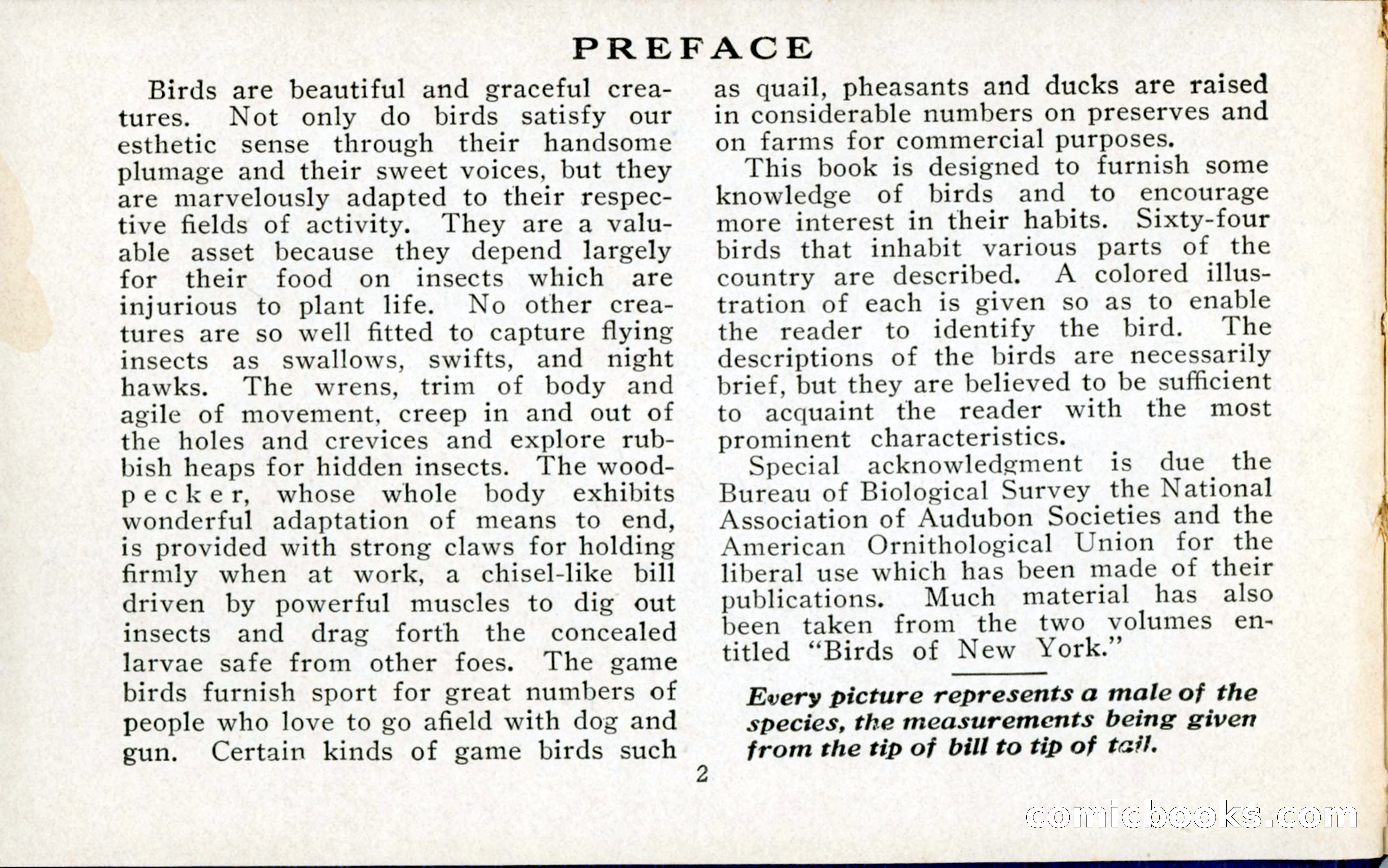 The Blue Book of Birds of America — page 3 of 98