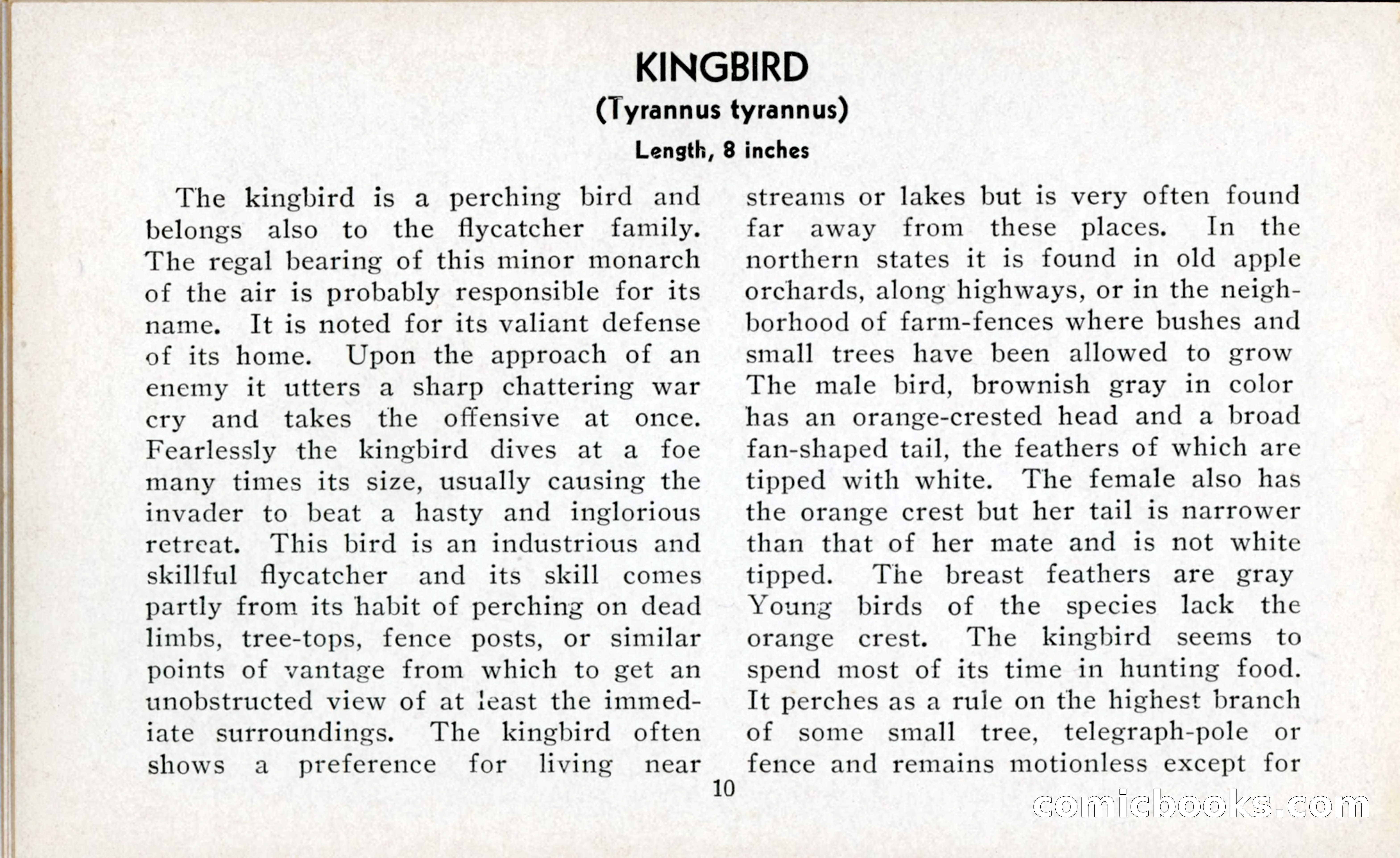 The Blue Book of Birds of America — page 11 of 98