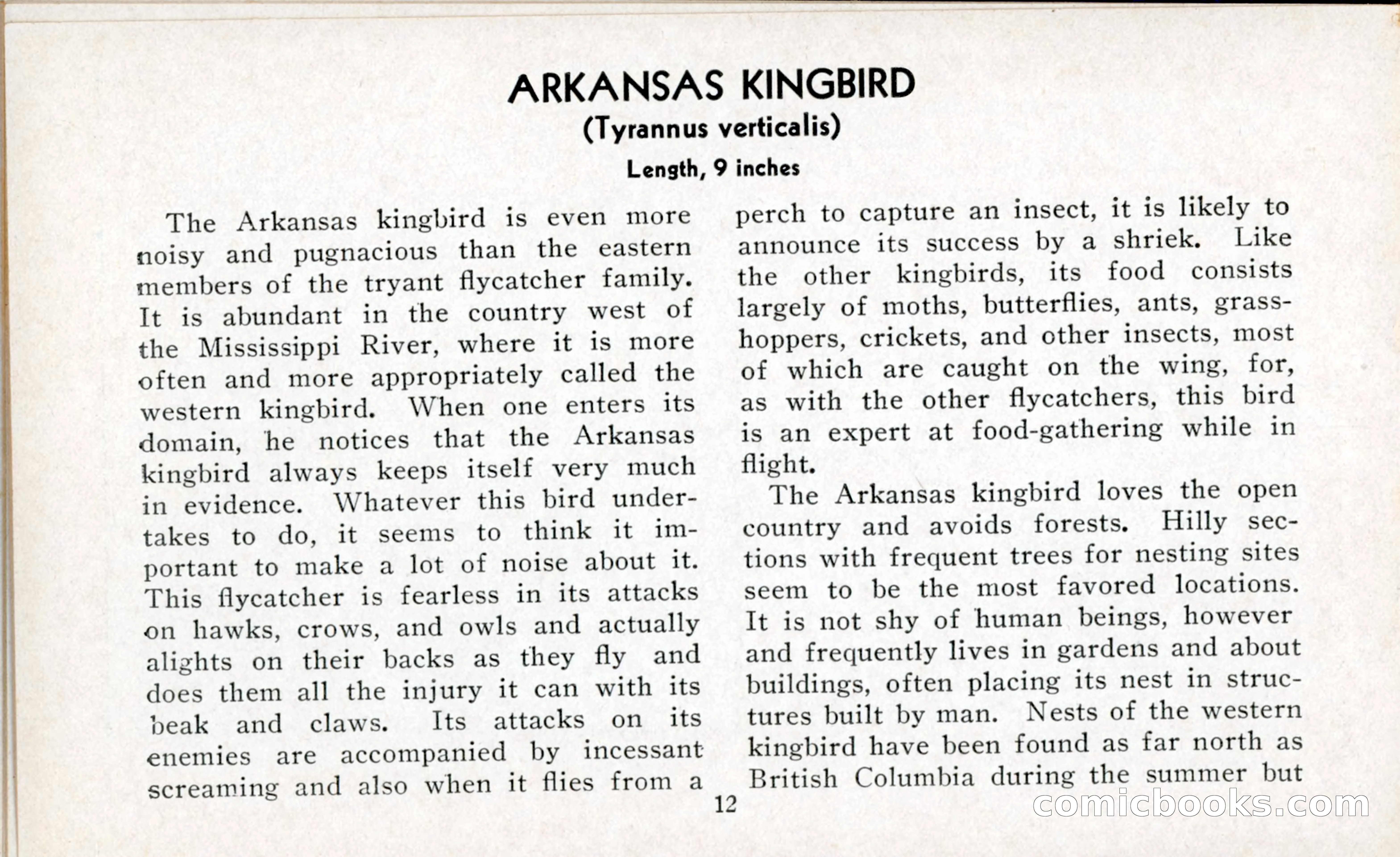 The Blue Book of Birds of America — page 13 of 98