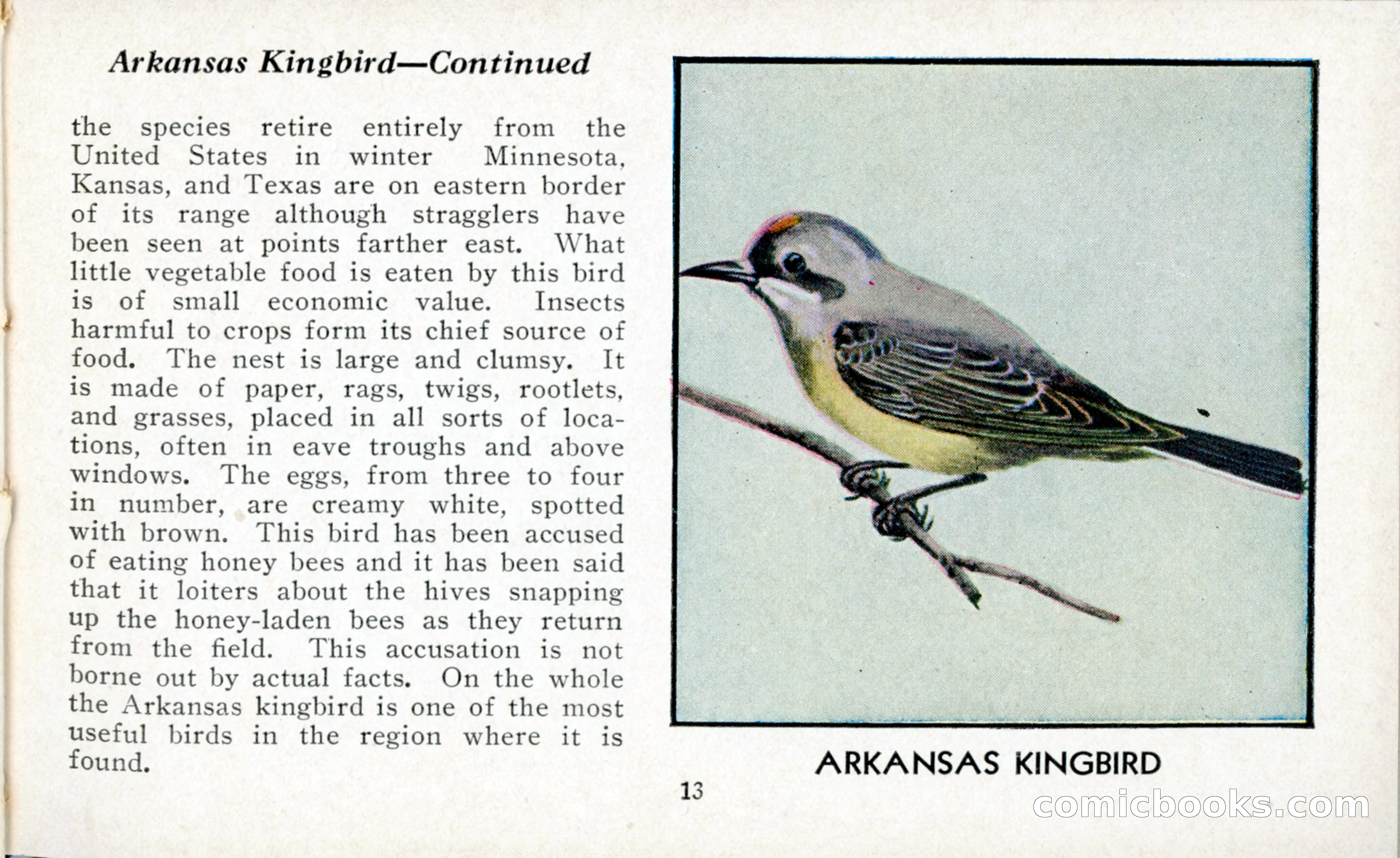 The Blue Book of Birds of America — page 14 of 98