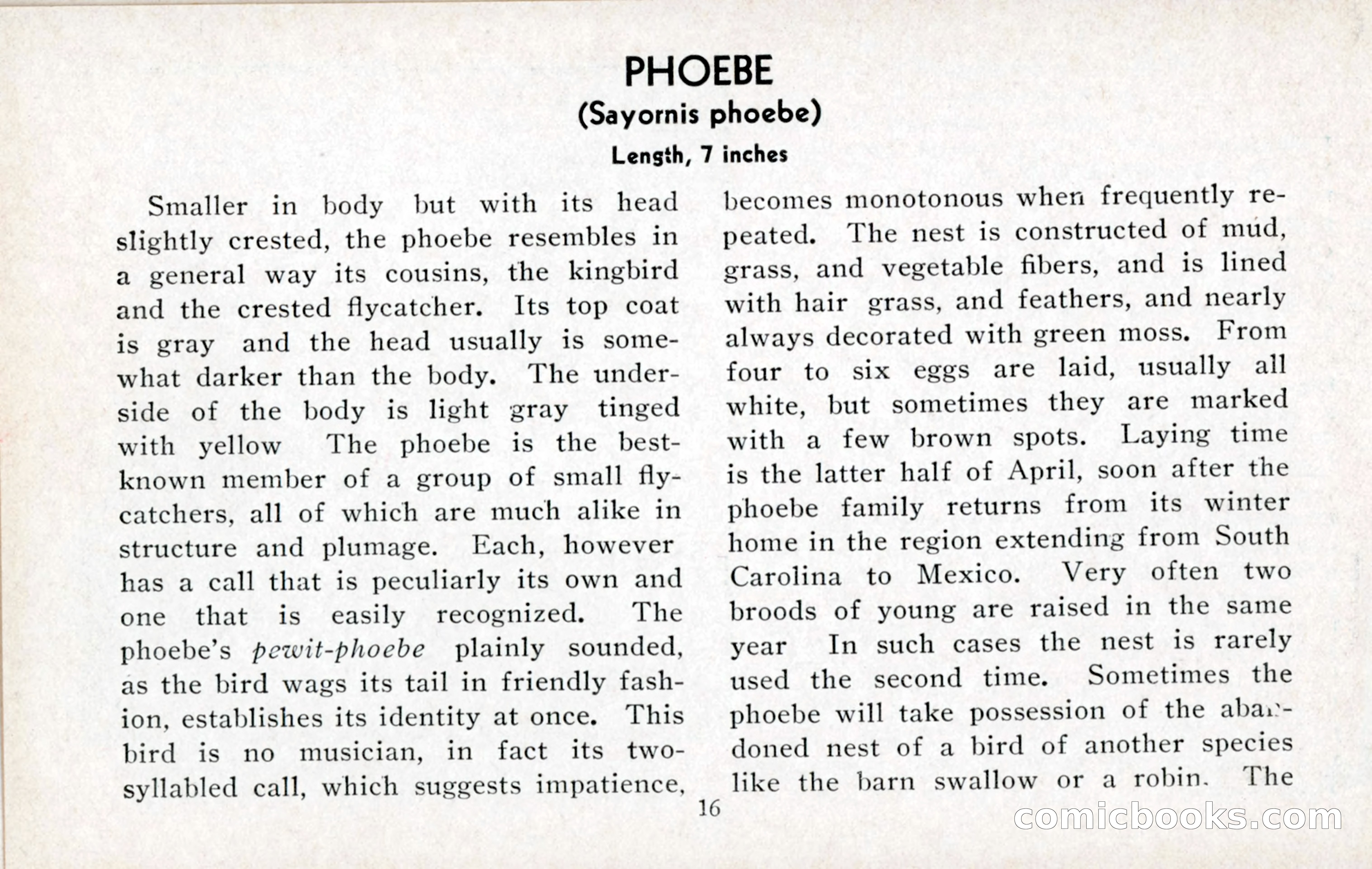The Blue Book of Birds of America — page 17 of 98