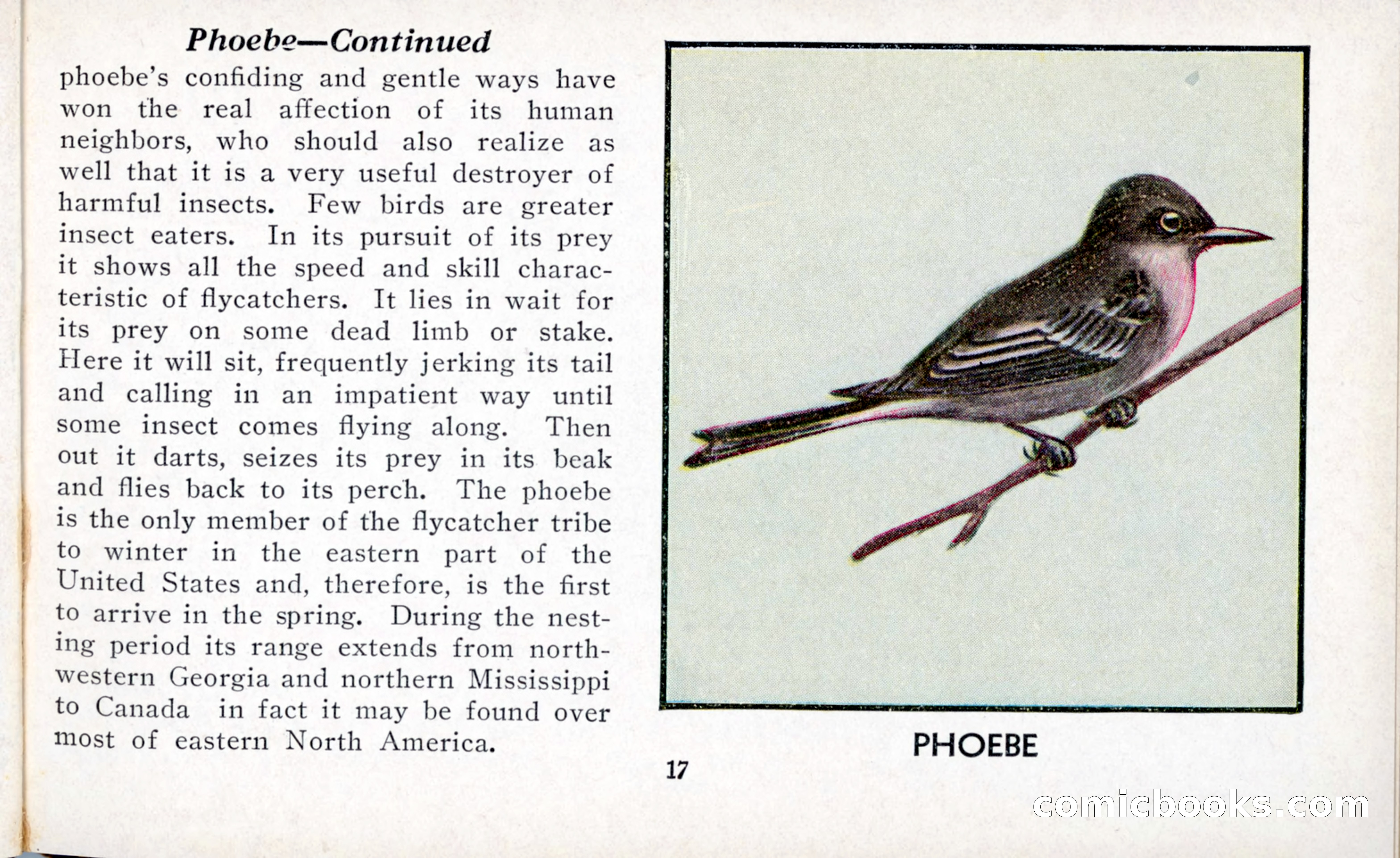 The Blue Book of Birds of America — page 18 of 98