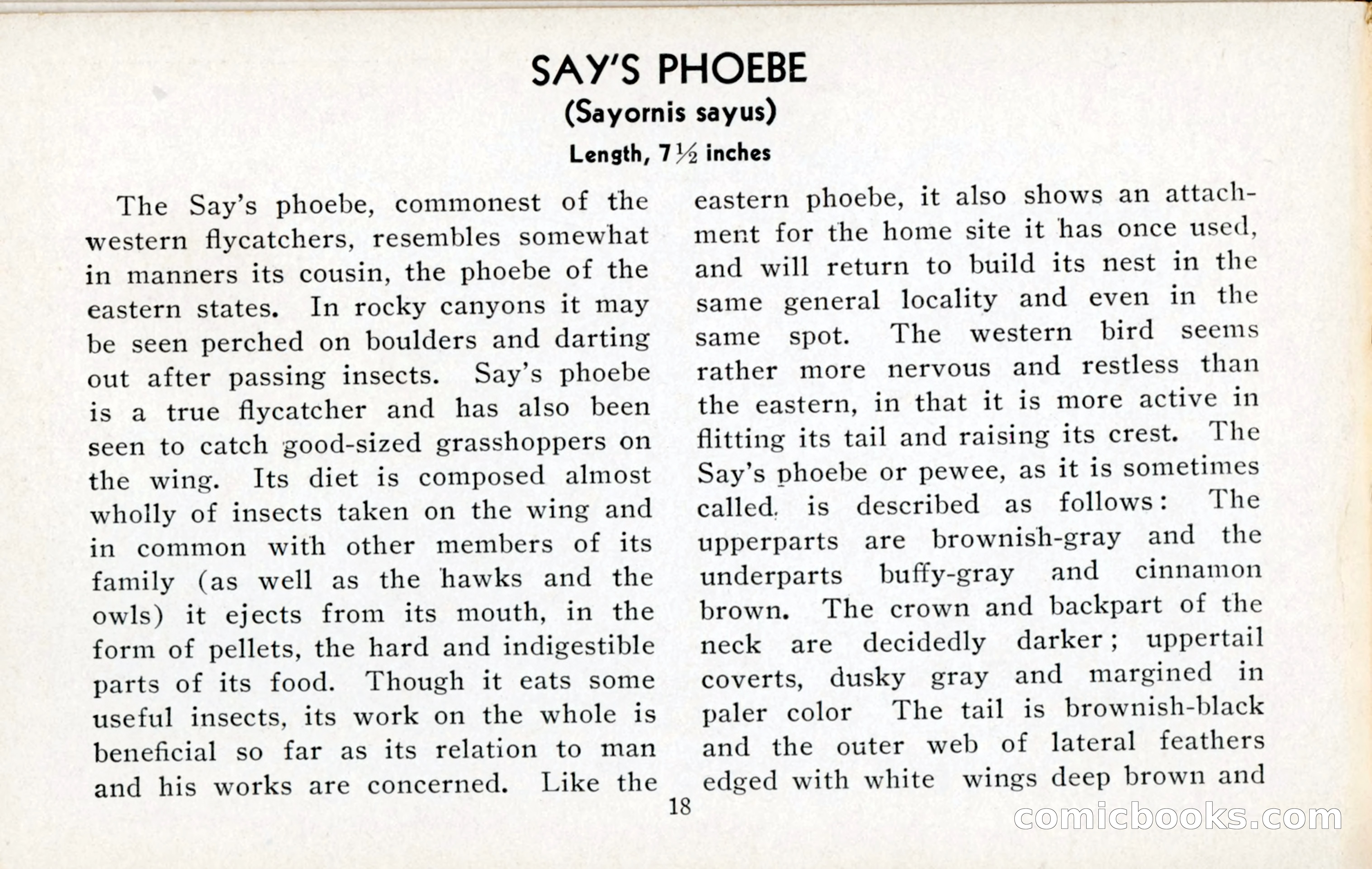 The Blue Book of Birds of America — page 19 of 98