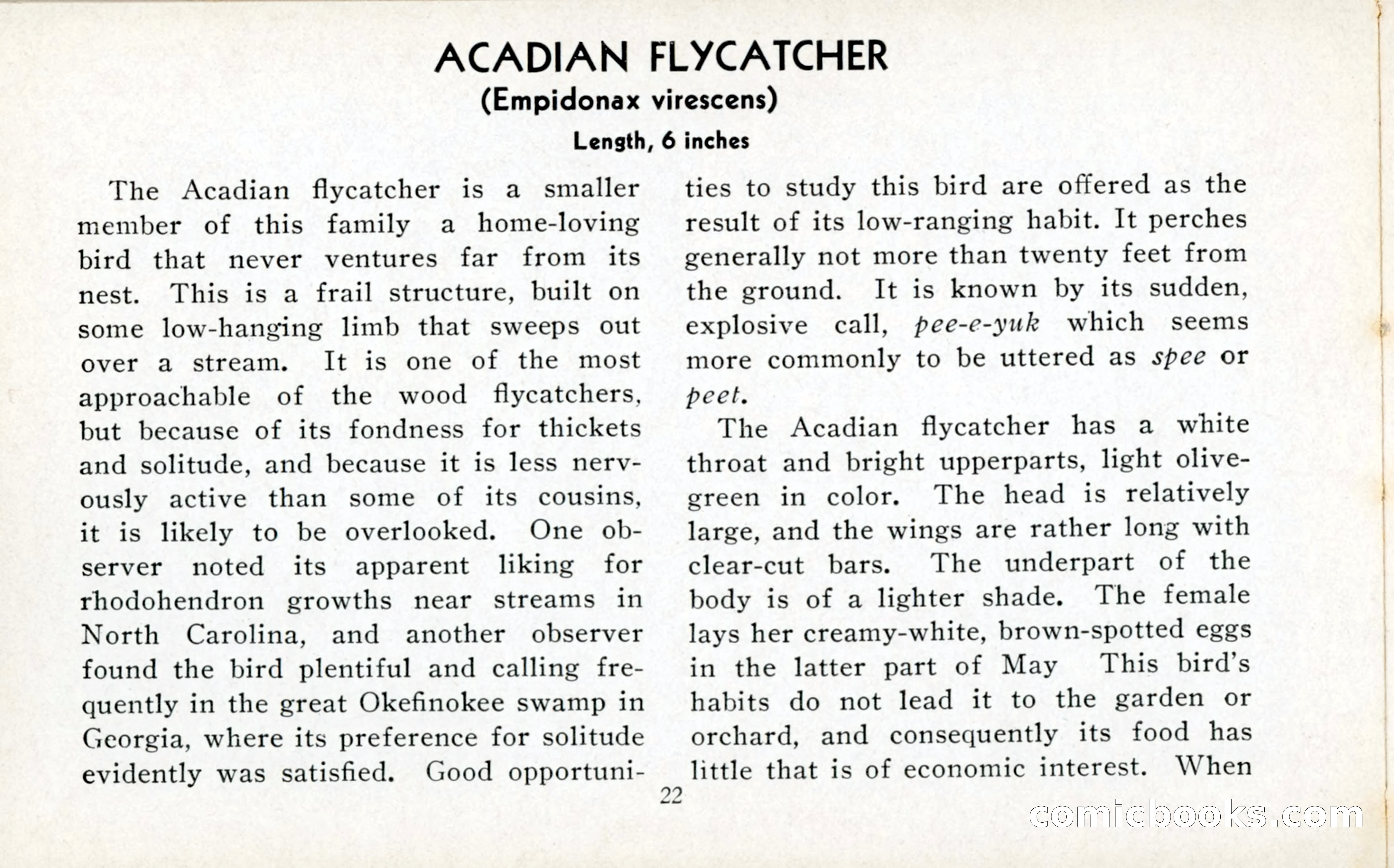 The Blue Book of Birds of America — page 23 of 98