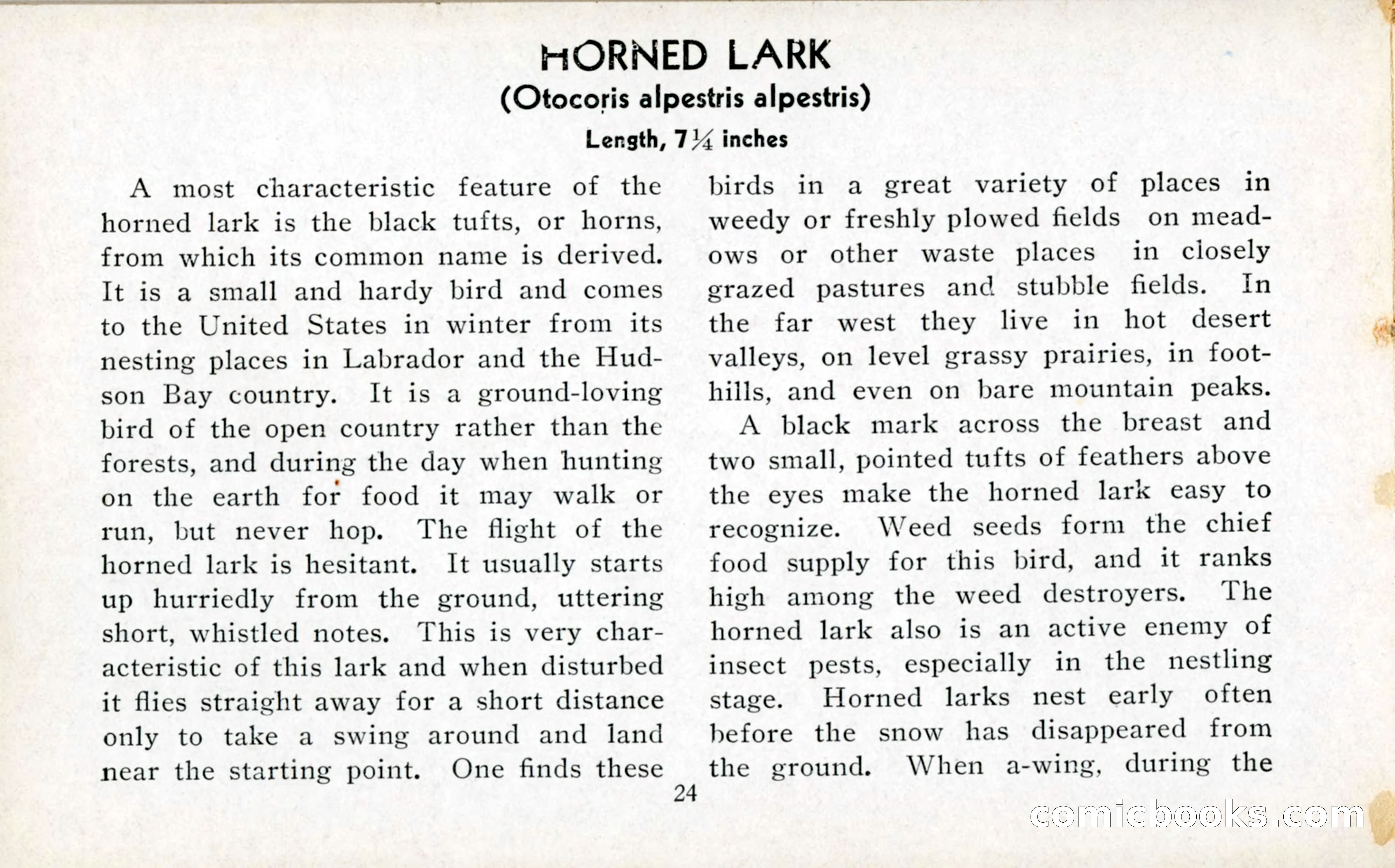 The Blue Book of Birds of America — page 25 of 98