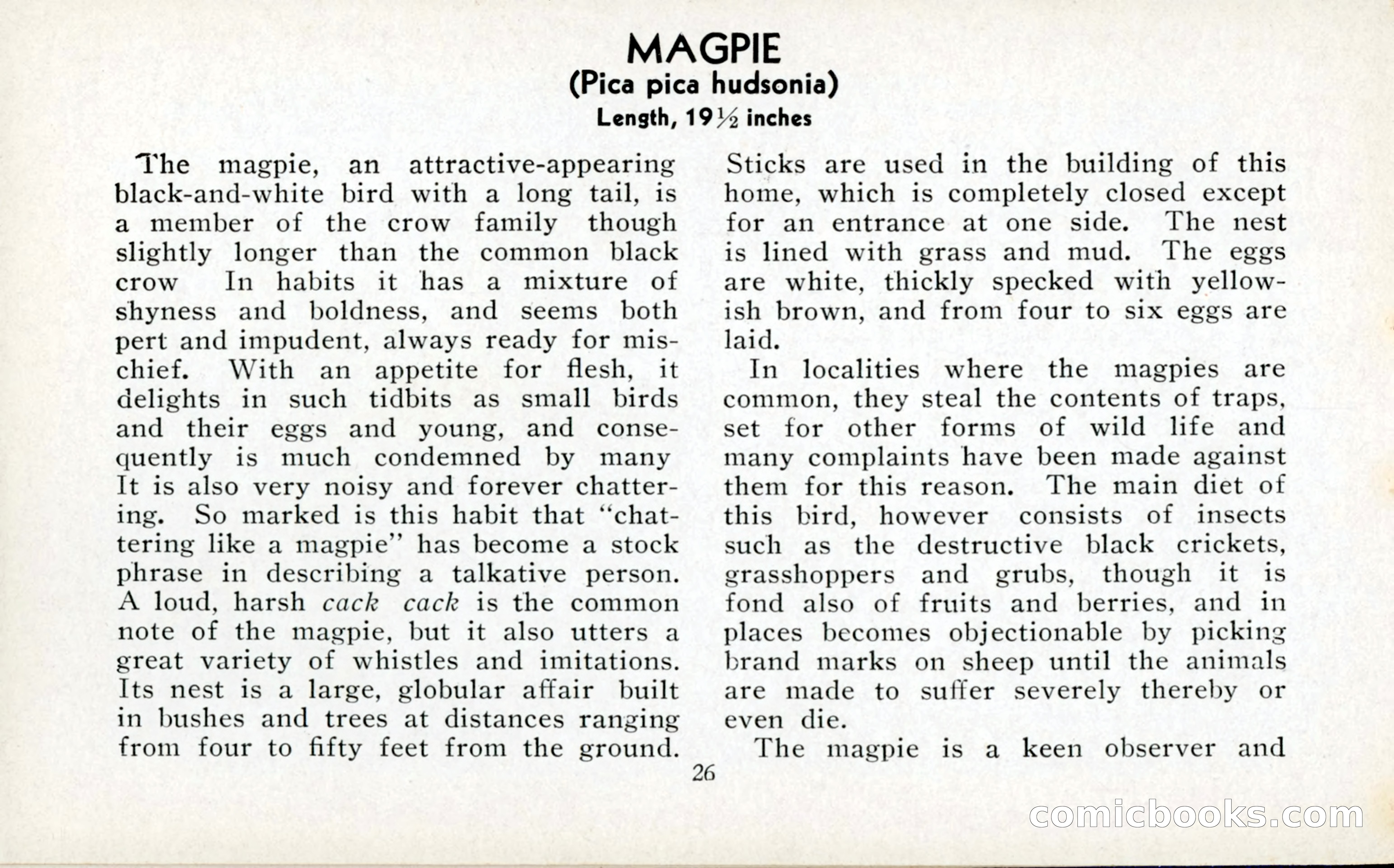 The Blue Book of Birds of America — page 27 of 98