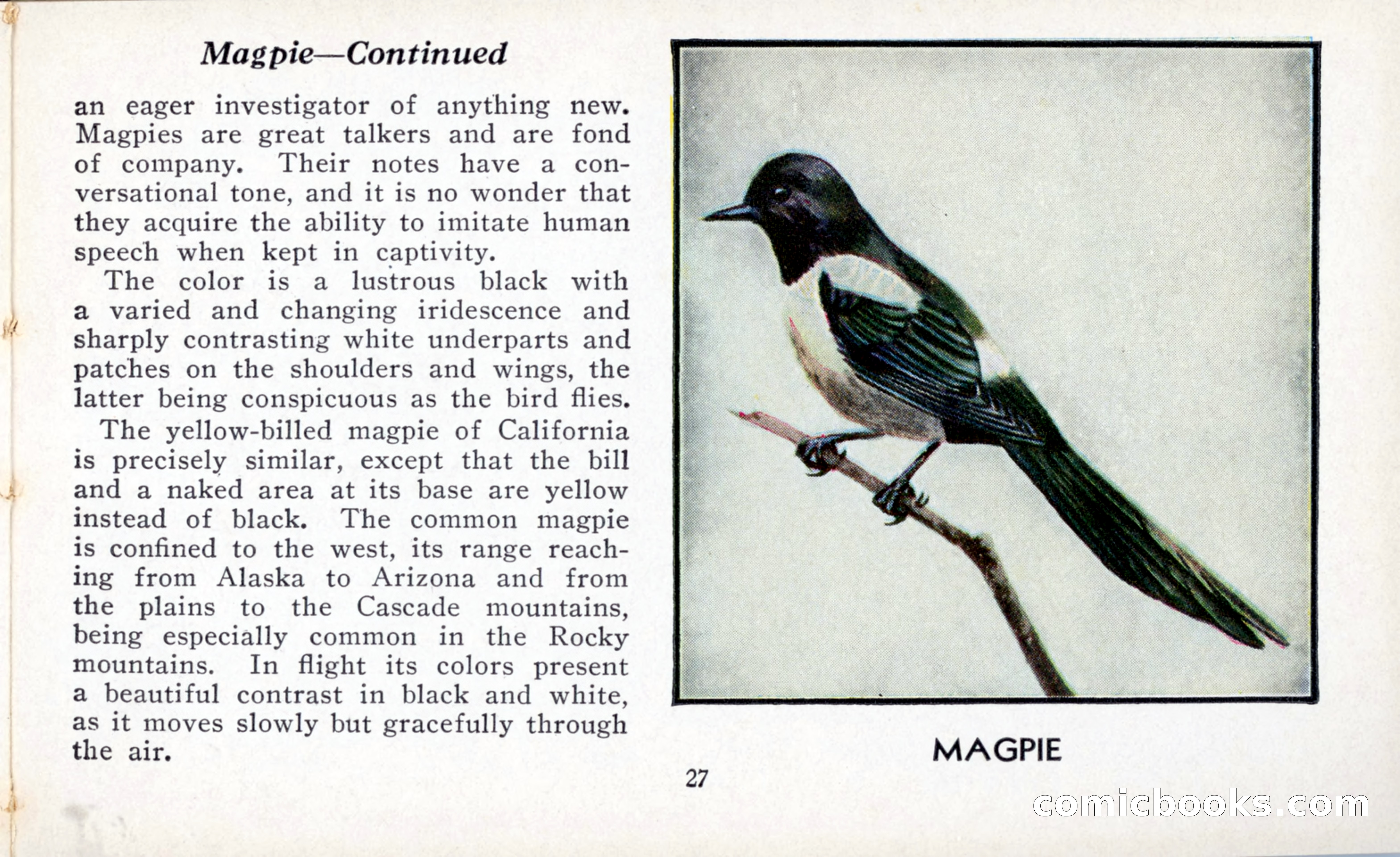 The Blue Book of Birds of America — page 28 of 98