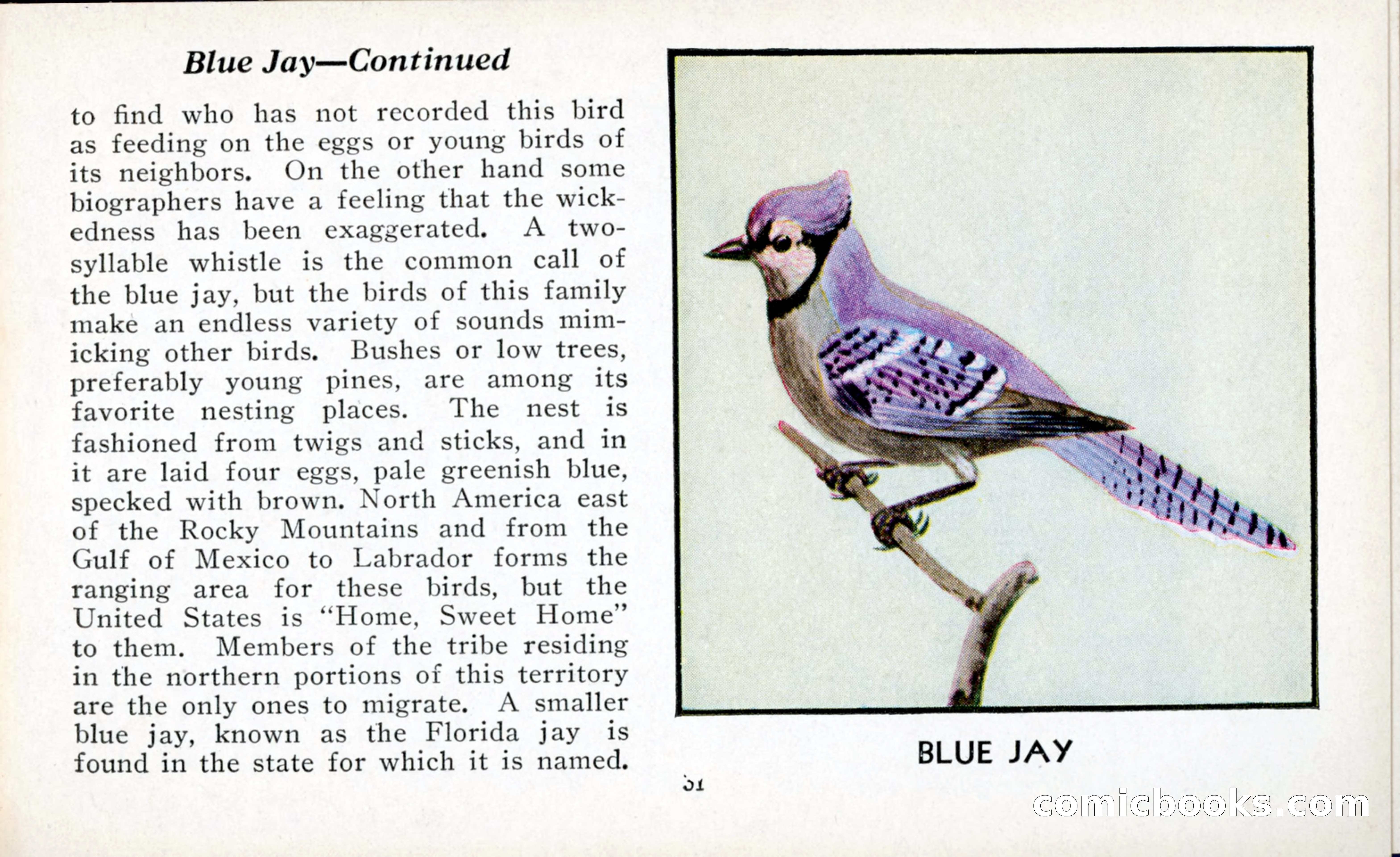 The Blue Book of Birds of America — page 32 of 98