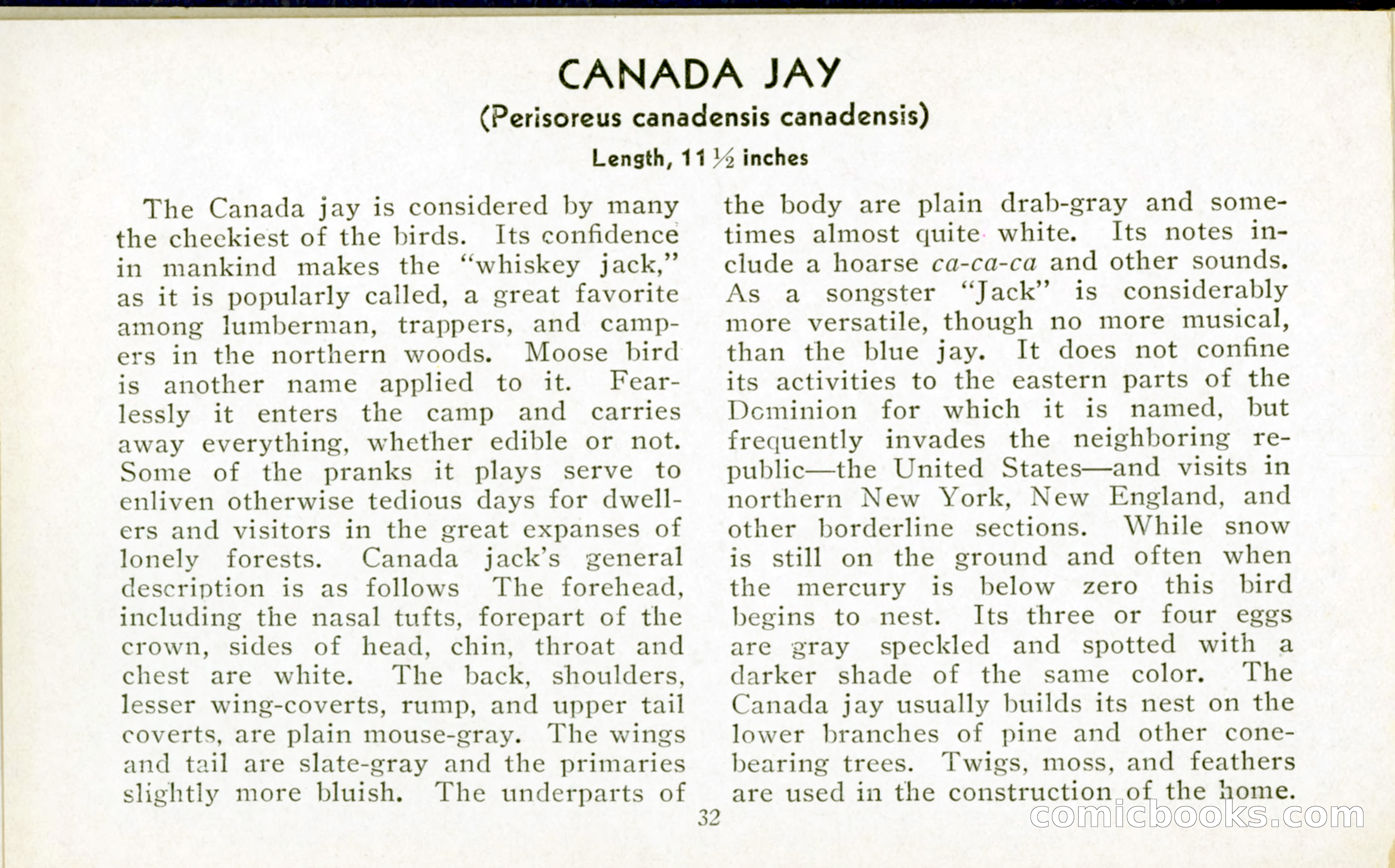 The Blue Book of Birds of America — page 33 of 98
