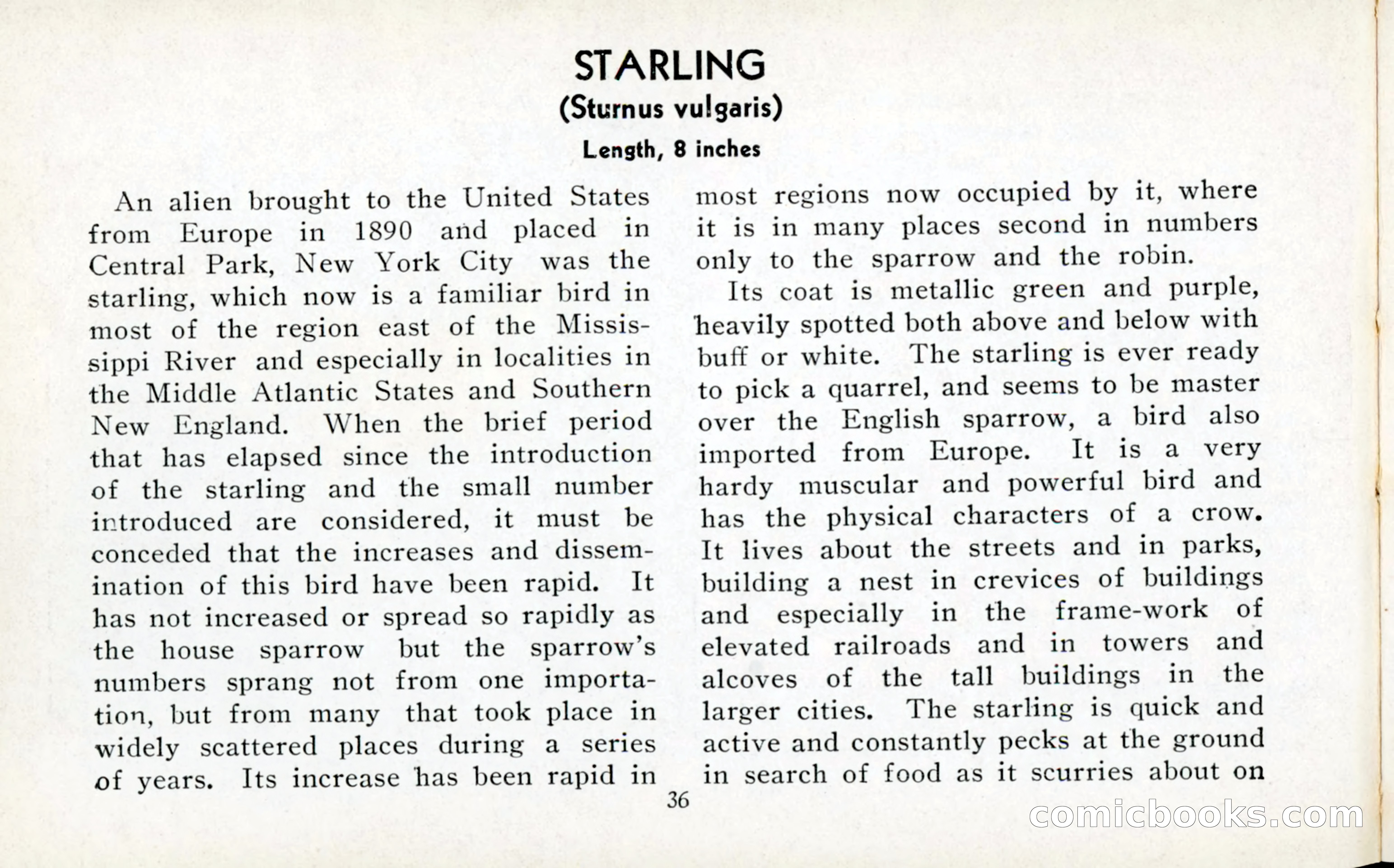 The Blue Book of Birds of America — page 37 of 98
