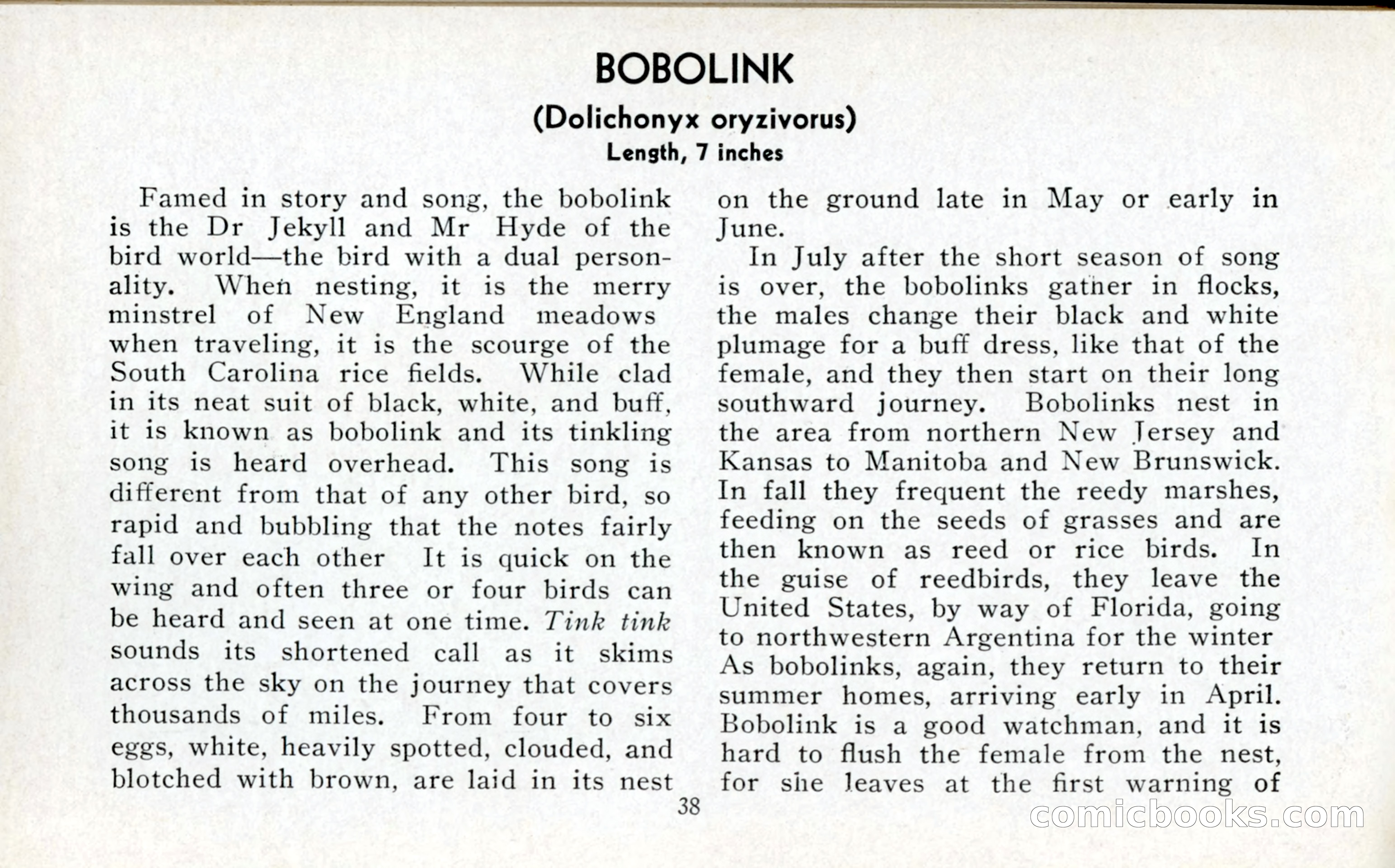 The Blue Book of Birds of America — page 39 of 98