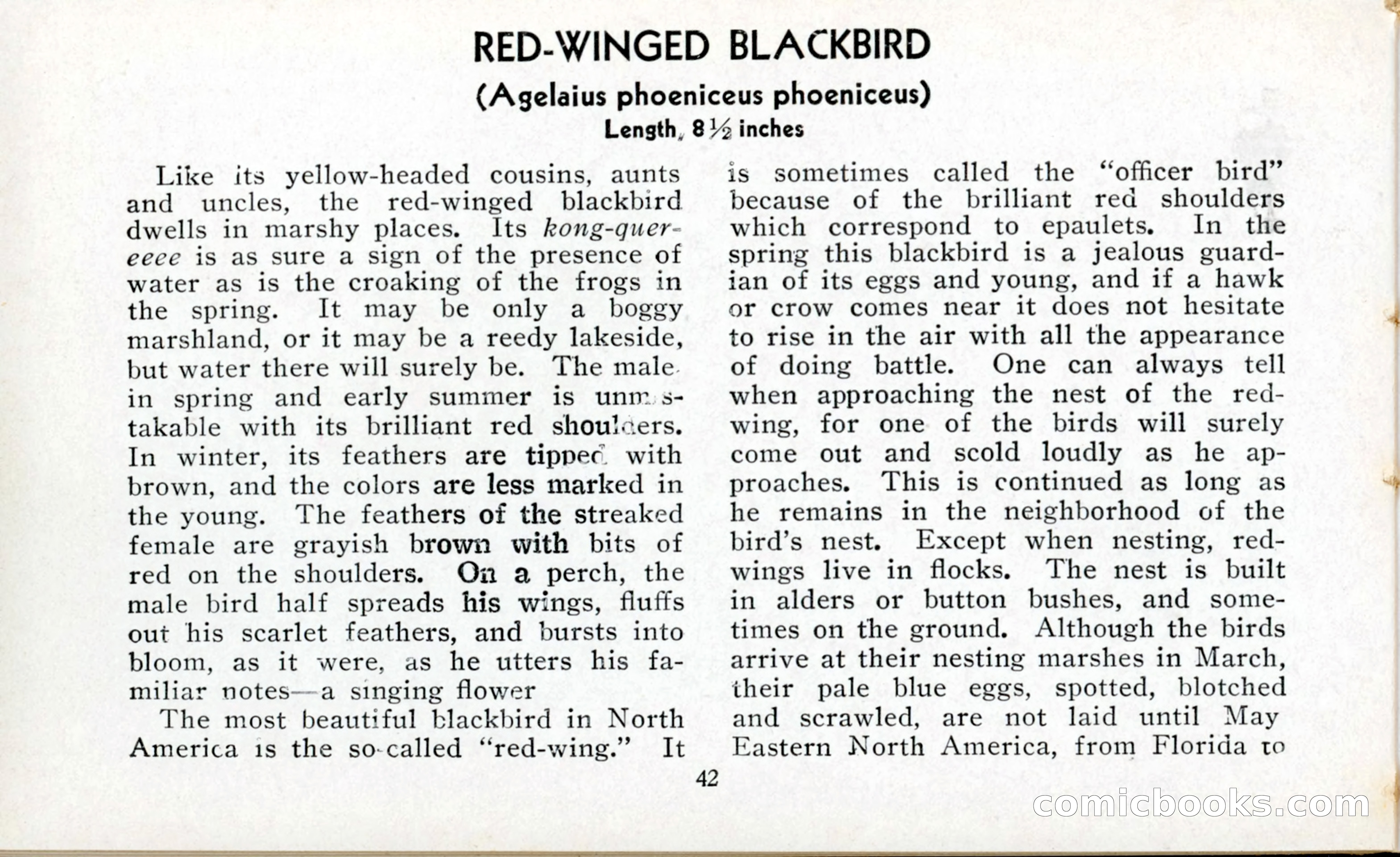 The Blue Book of Birds of America — page 43 of 98